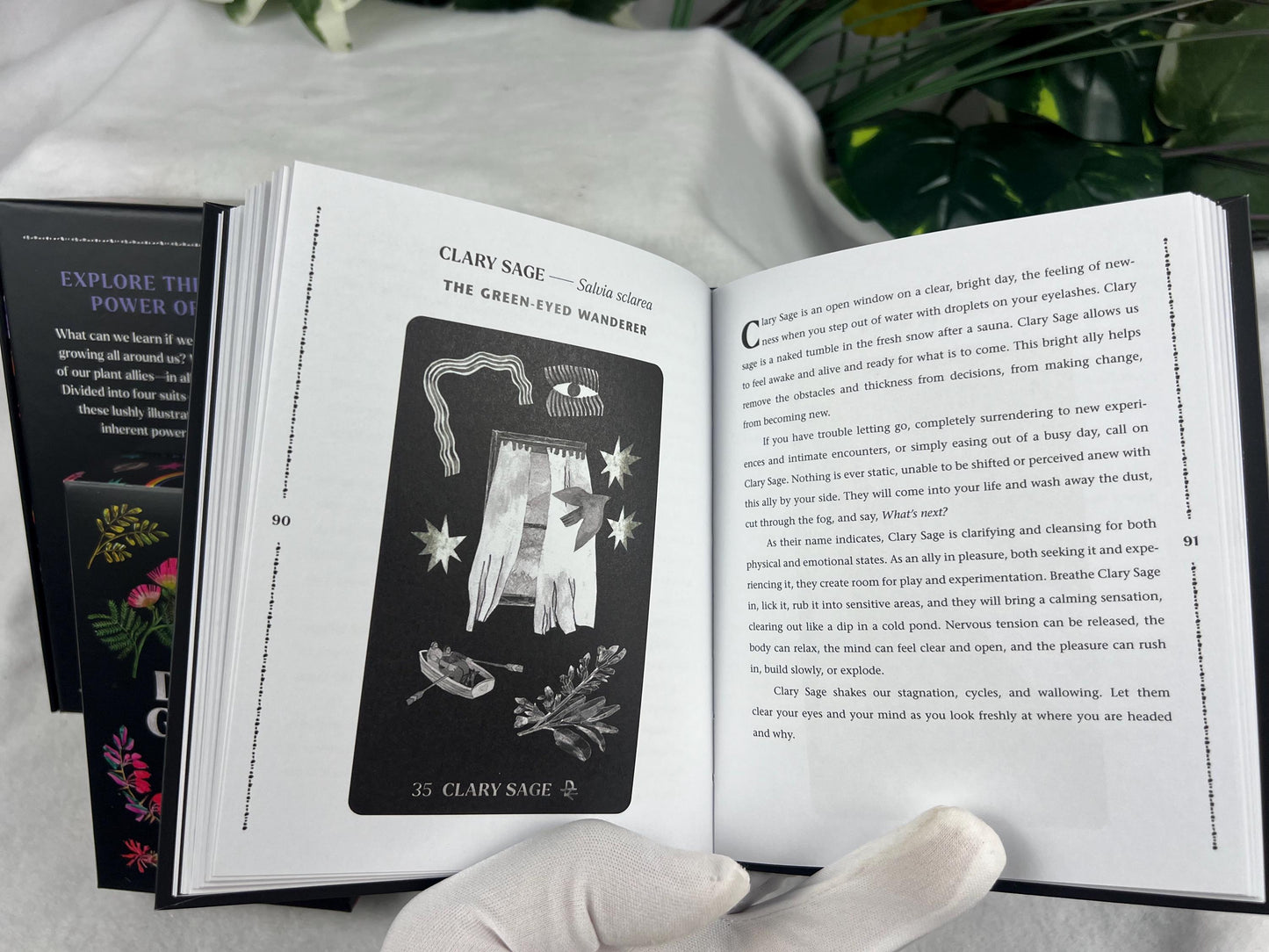 Dirt Gems Plant Oracle Deck and Guidebook Fully Licensed and Original Inclusive Original Tarot Guidebook Home Decor Christmas Gift Birthday-
