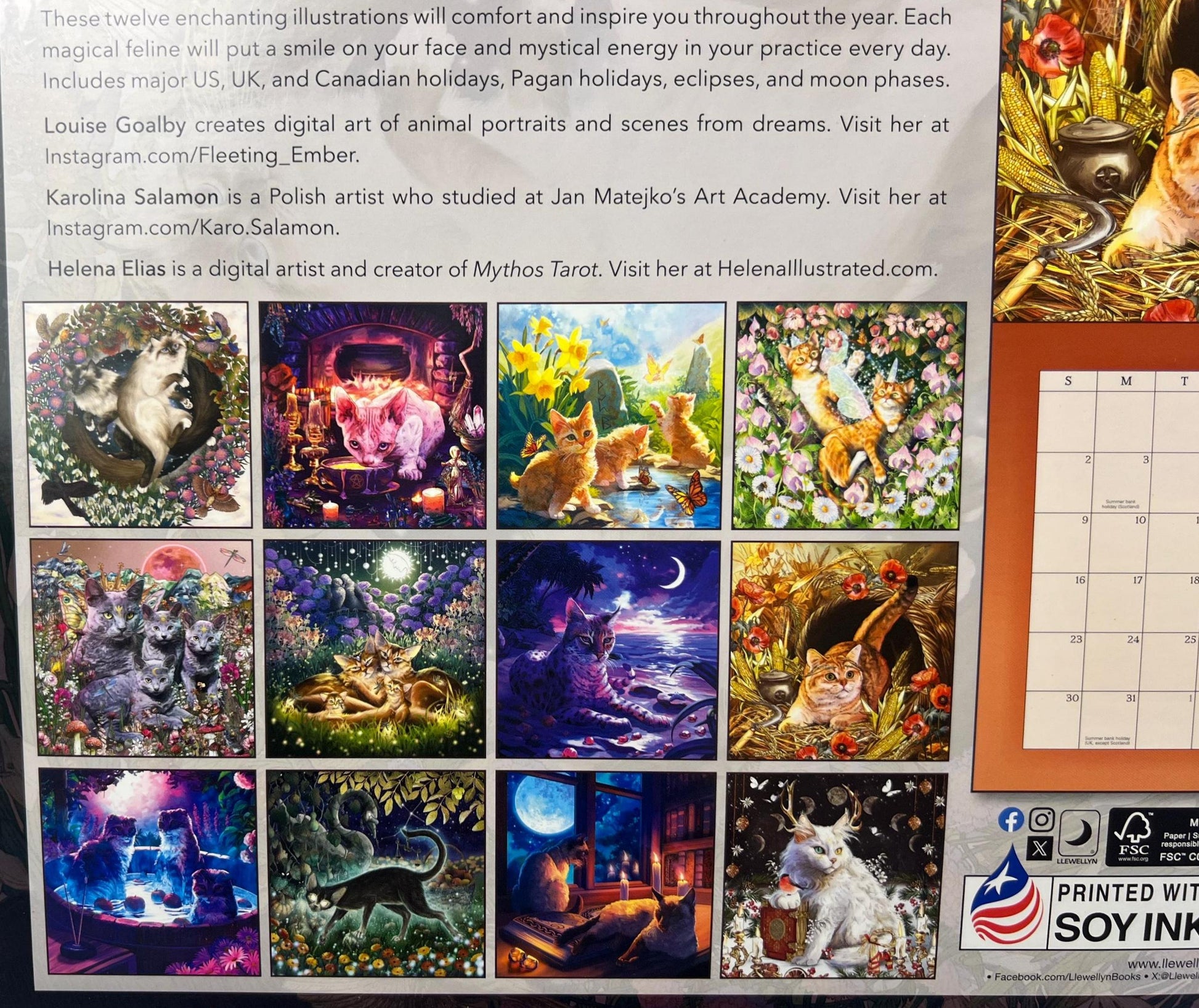 Llewellyn's 2026 Magical Mystical Cats Calendar Art Painting Picture Craft Holiday Christmas Xmas Gift Home Decor Christmas Xmas Birthday