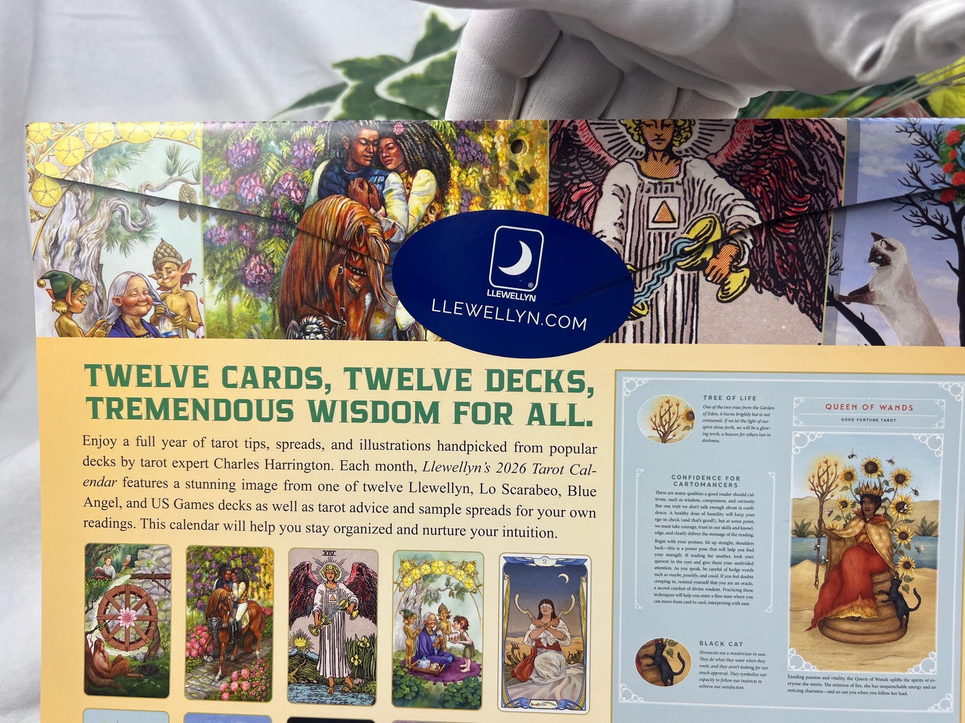 Llewellyn's 2026 Tarot Calendar Home Decor Wall Picture Craft Holiday Christmas Xmas Birthday Funny Llewelyn Journal Gift Meditation