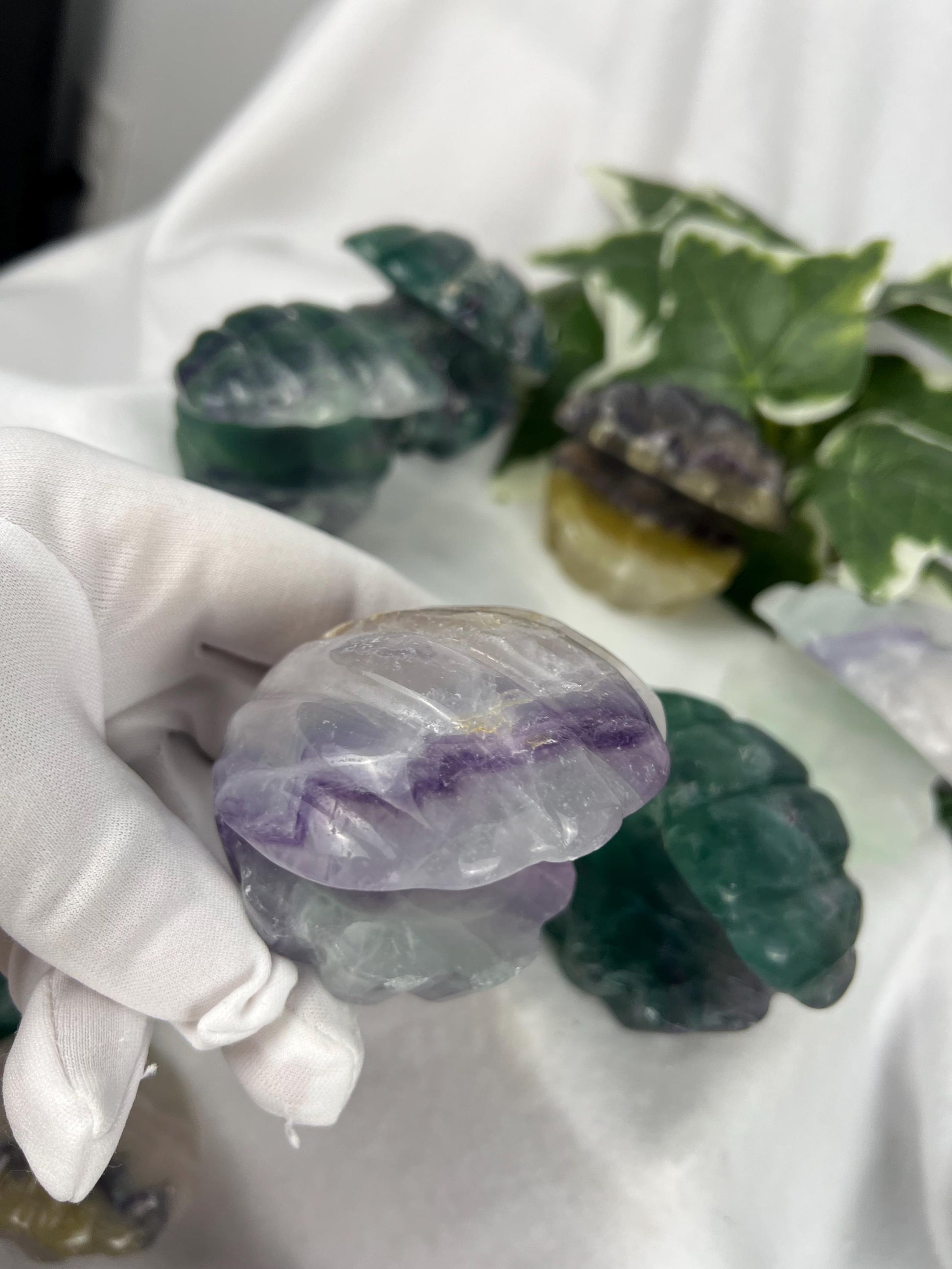 Fluorite Crystal Clam Seashell Carving Polished Natural Home Decor Christmas Birthday Statue Crystal Gemstone Feng Shui Christmas Jewelry