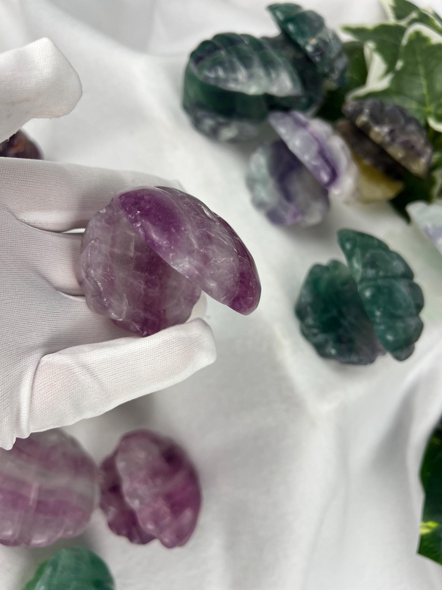 Fluorite Crystal Clam Seashell Carving Polished Natural Home Decor Christmas Birthday Statue Crystal Gemstone Feng Shui Christmas Jewelry