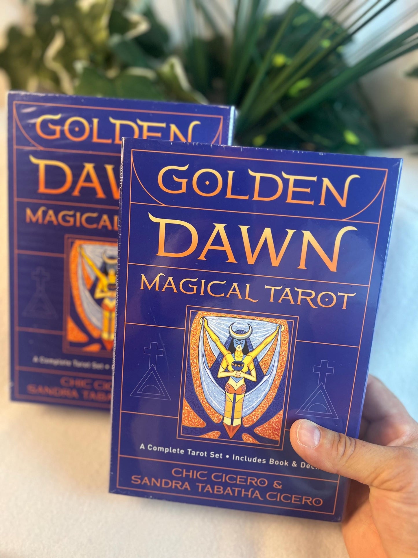 The Magical Dawn Tarot Deck Chic Cicero 78 card Original Fully Licensed Artwork Gift Birthday Christmas Tarot Card Game Home Decor Xmas Gift
