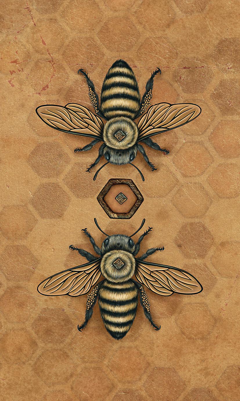 The Bee Tarot Original Fully Licensed Hughes and Turner Card Future Meditation Distraction Anxiety Fortune Christmas Xmas Gift Deck