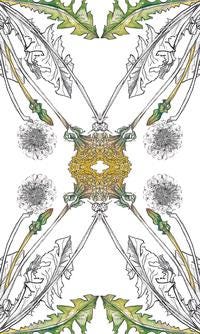 Hedgewitch Botanical Oracle Deck: 40 Cards with 192 Page Guidebook