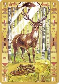 Native American Oracle Cards Illustrated Guidebook & Cards Christmas Xmas