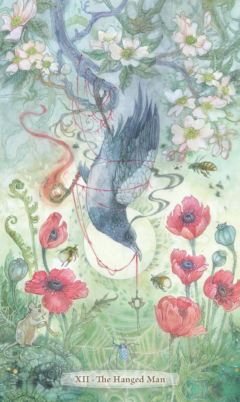 Verdance Tarot Deck: Rider-Waite-Smith Based, Color Guidebook