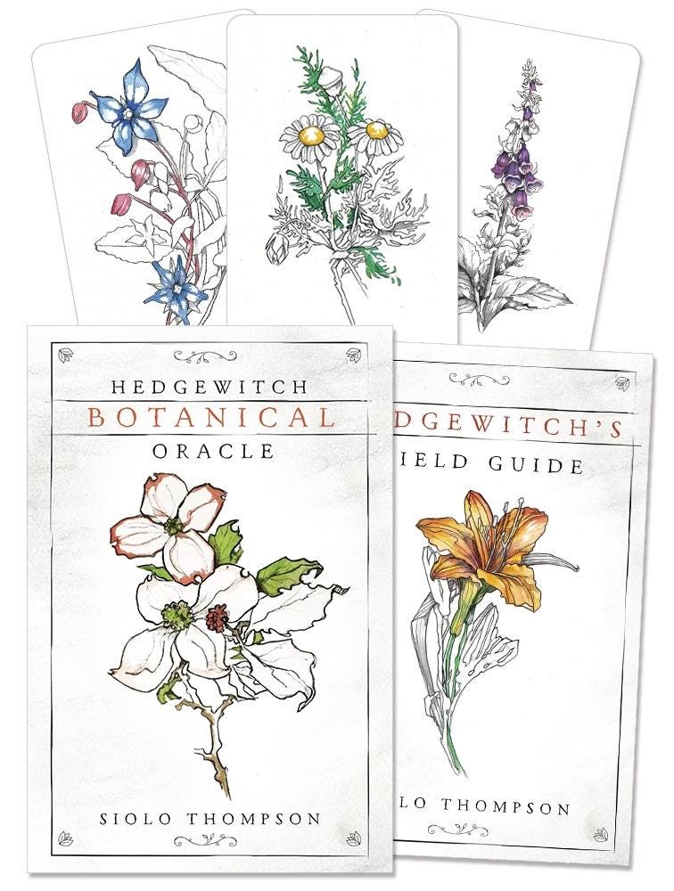 Hedgewitch Botanical Oracle Deck: 40 Cards with 192 Page Guidebook