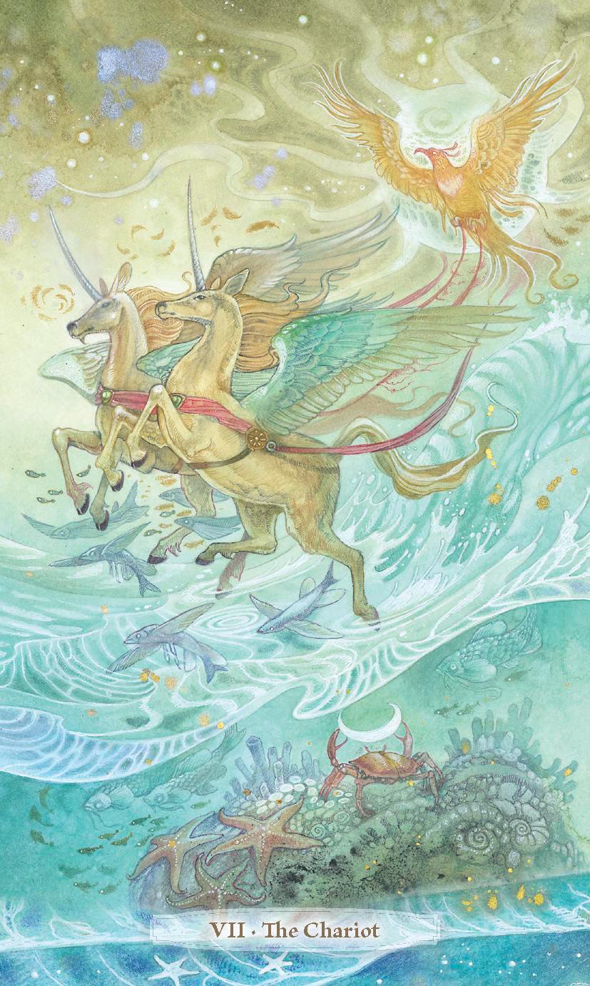 Verdance Tarot Deck: Rider-Waite-Smith Based, Color Guidebook