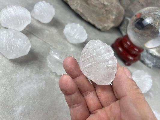 Queensland Australian Clear Quartz Scallop Carved Shell Stone: Polished Crystal Decor