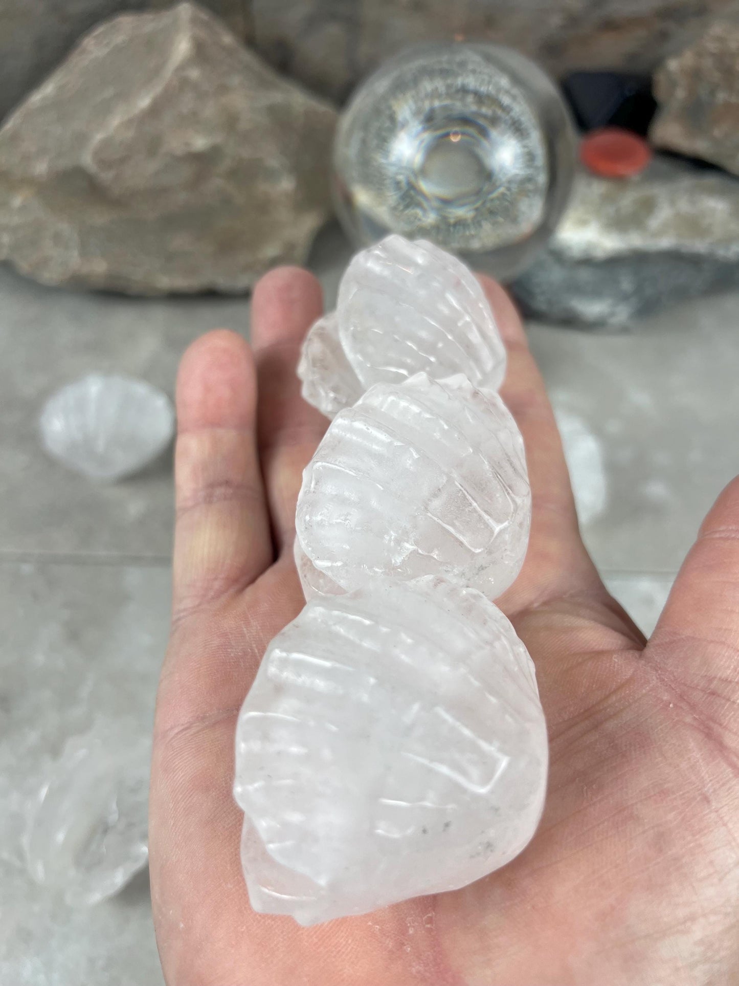 Queensland Australian Clear Quartz Scallop Carved Shell Stone: Polished Crystal Decor