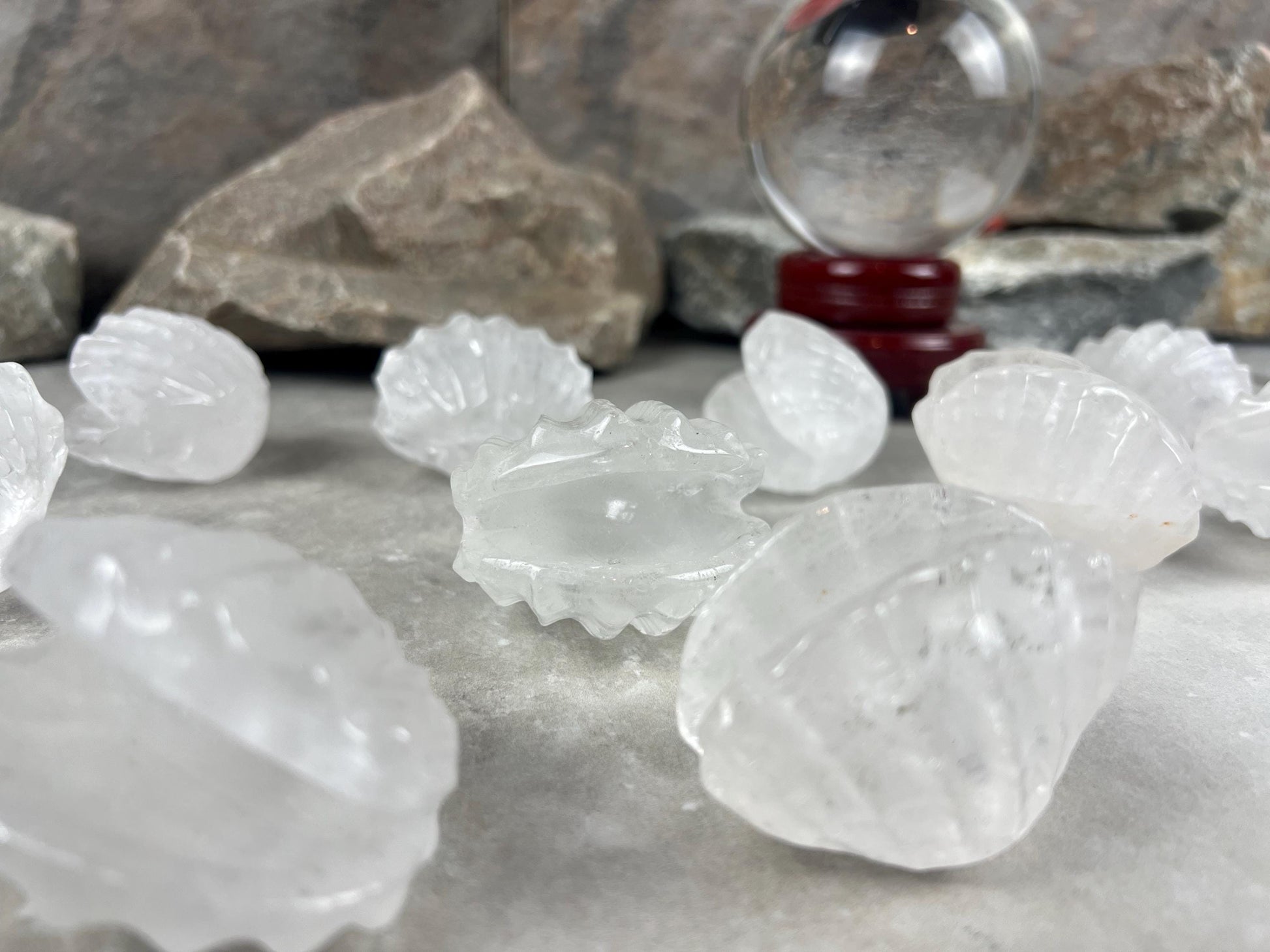 Queensland Australian Clear Quartz Scallop Carved Shell Stone: Polished Crystal Decor