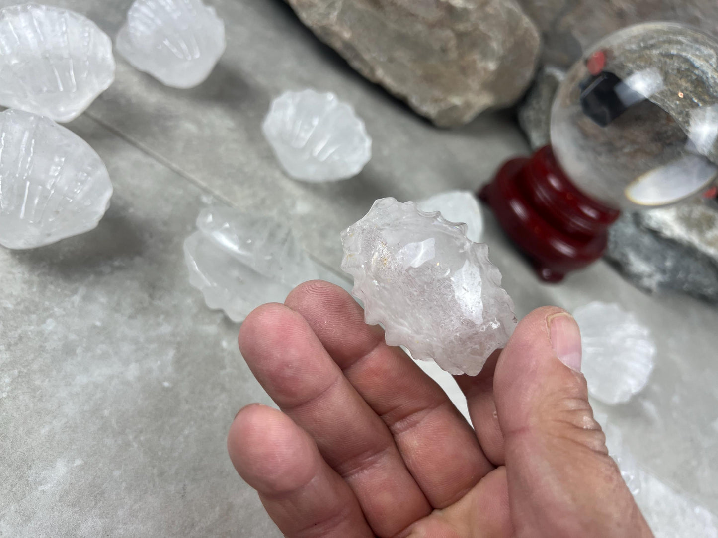 Queensland Australian Clear Quartz Scallop Carved Shell Stone: Polished Crystal Decor