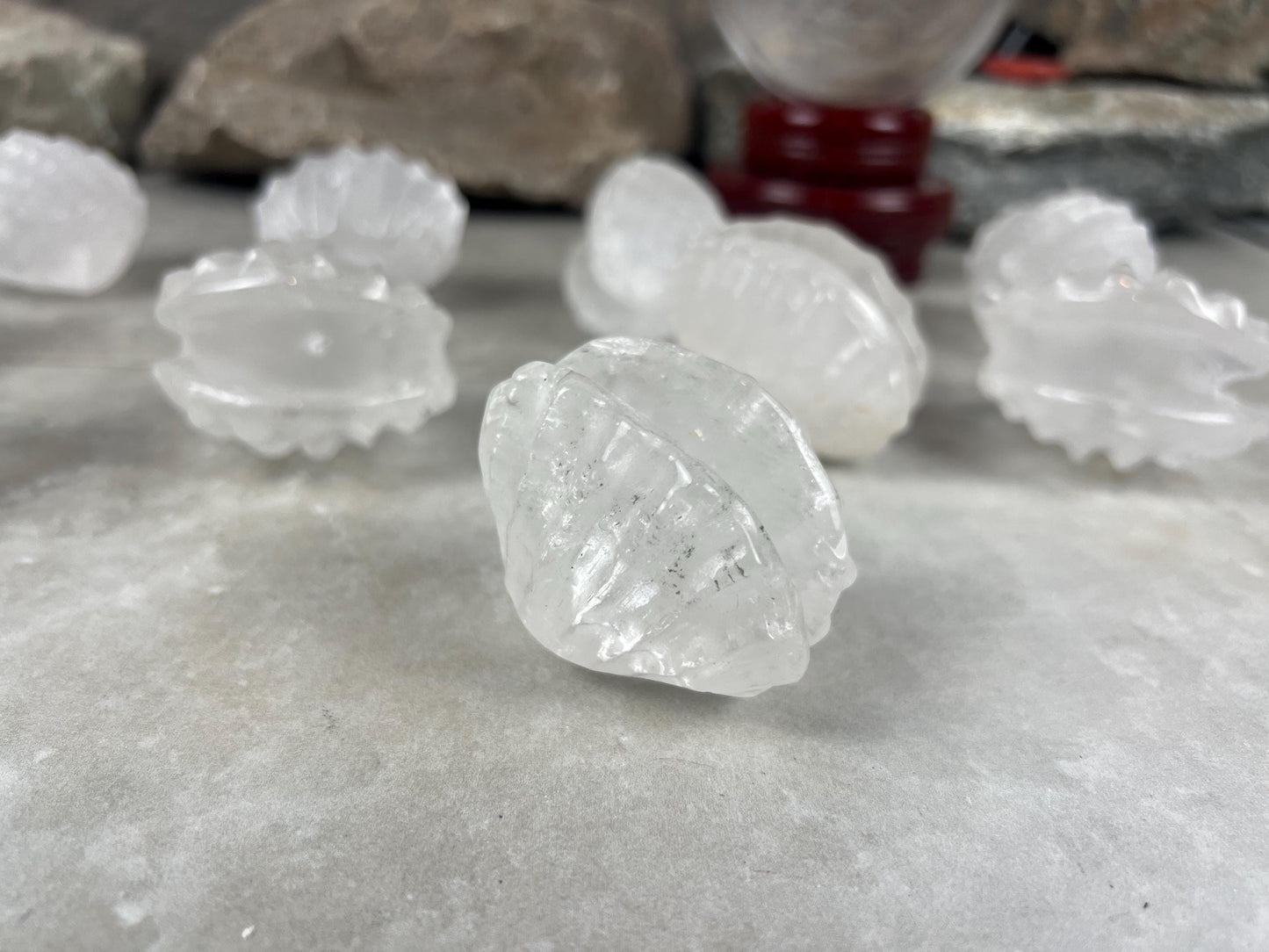 Queensland Australian Clear Quartz Scallop Carved Shell Stone: Polished Crystal Decor