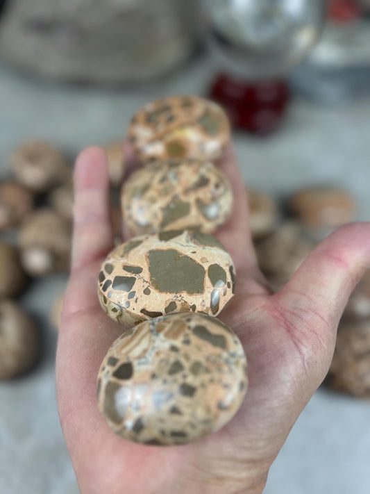 Polished Leopard Jasperite Palm Stone Healing Anxiety Worry Meditation Decor