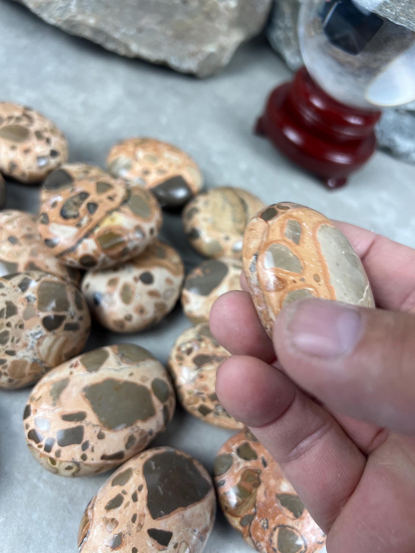 Polished Leopard Jasperite Palm Stone Healing Anxiety Worry Meditation Decor