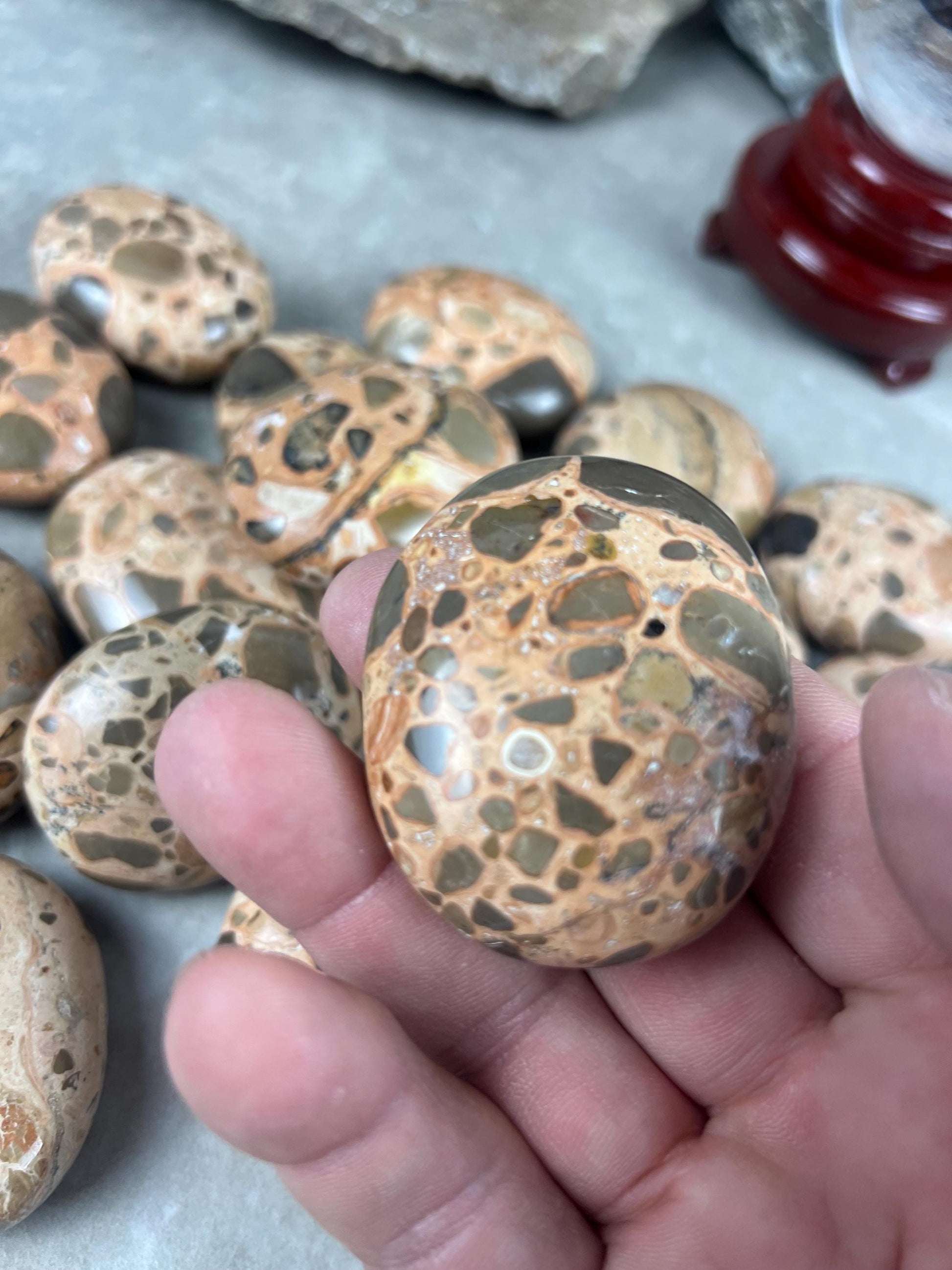 Polished Leopard Jasperite Palm Stone Healing Anxiety Worry Meditation Decor