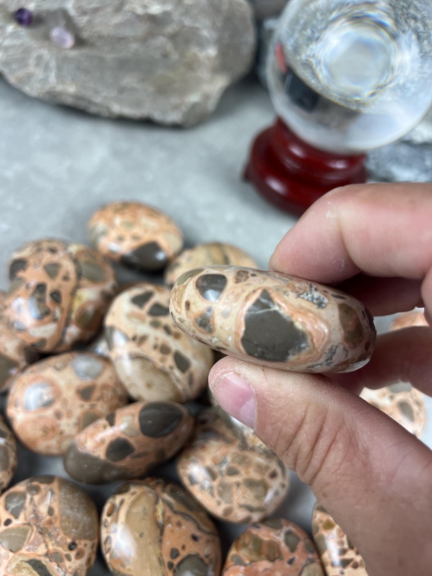 Polished Leopard Jasperite Palm Stone Healing Anxiety Worry Meditation Decor