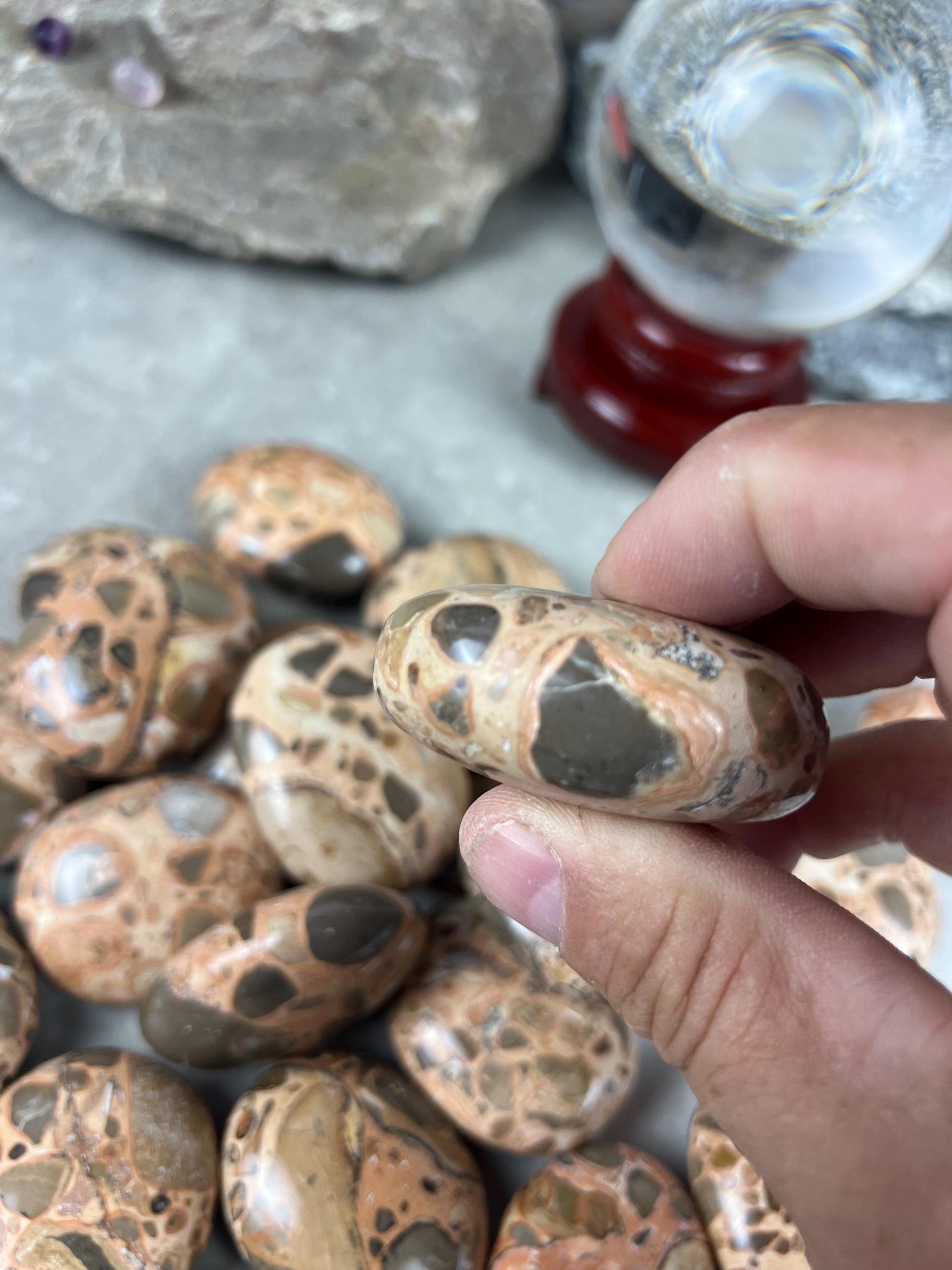 Polished Leopard Jasperite Palm Stone Healing Anxiety Worry Meditation Decor