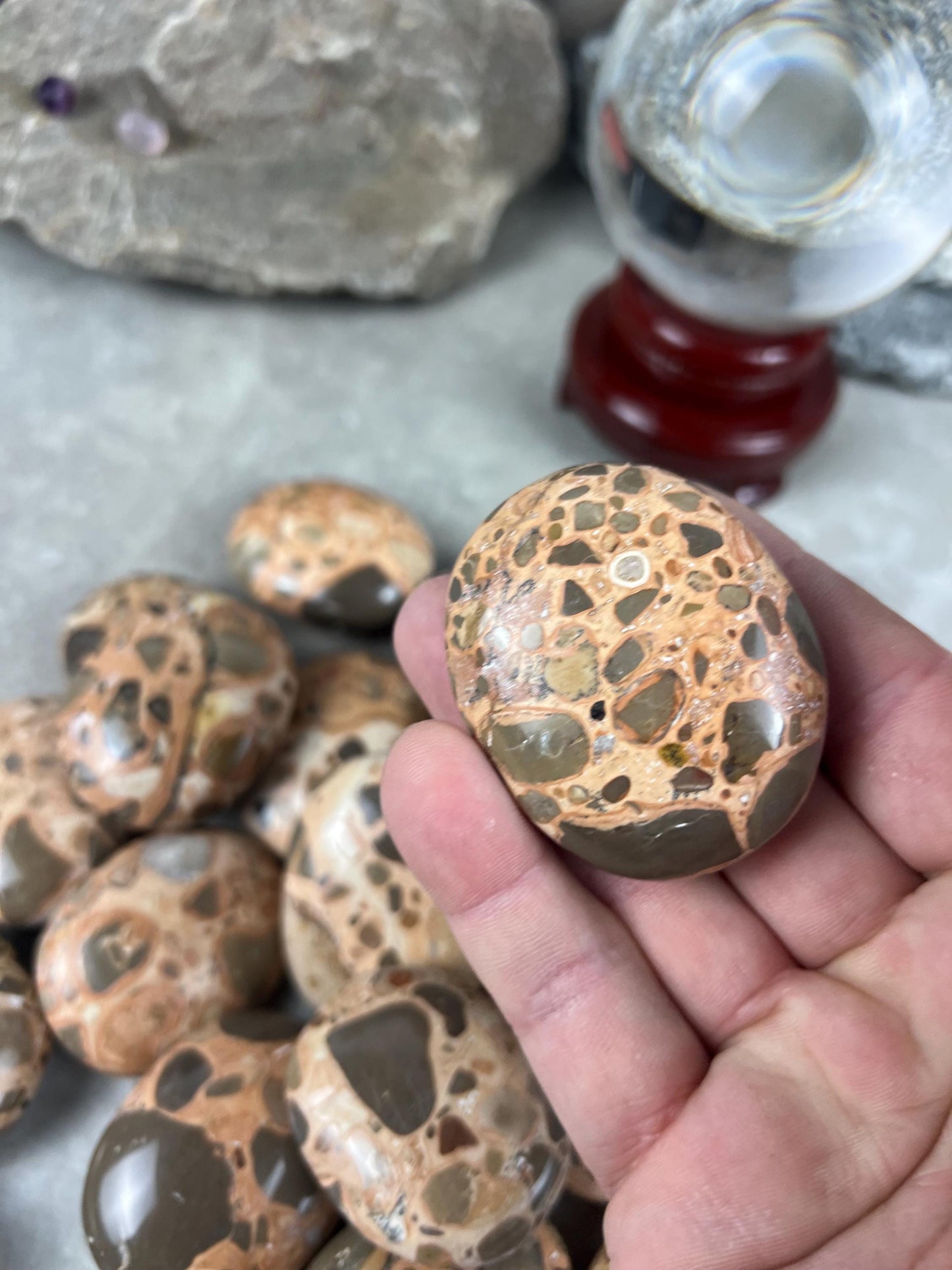 Polished Leopard Jasperite Palm Stone Healing Anxiety Worry Meditation Decor