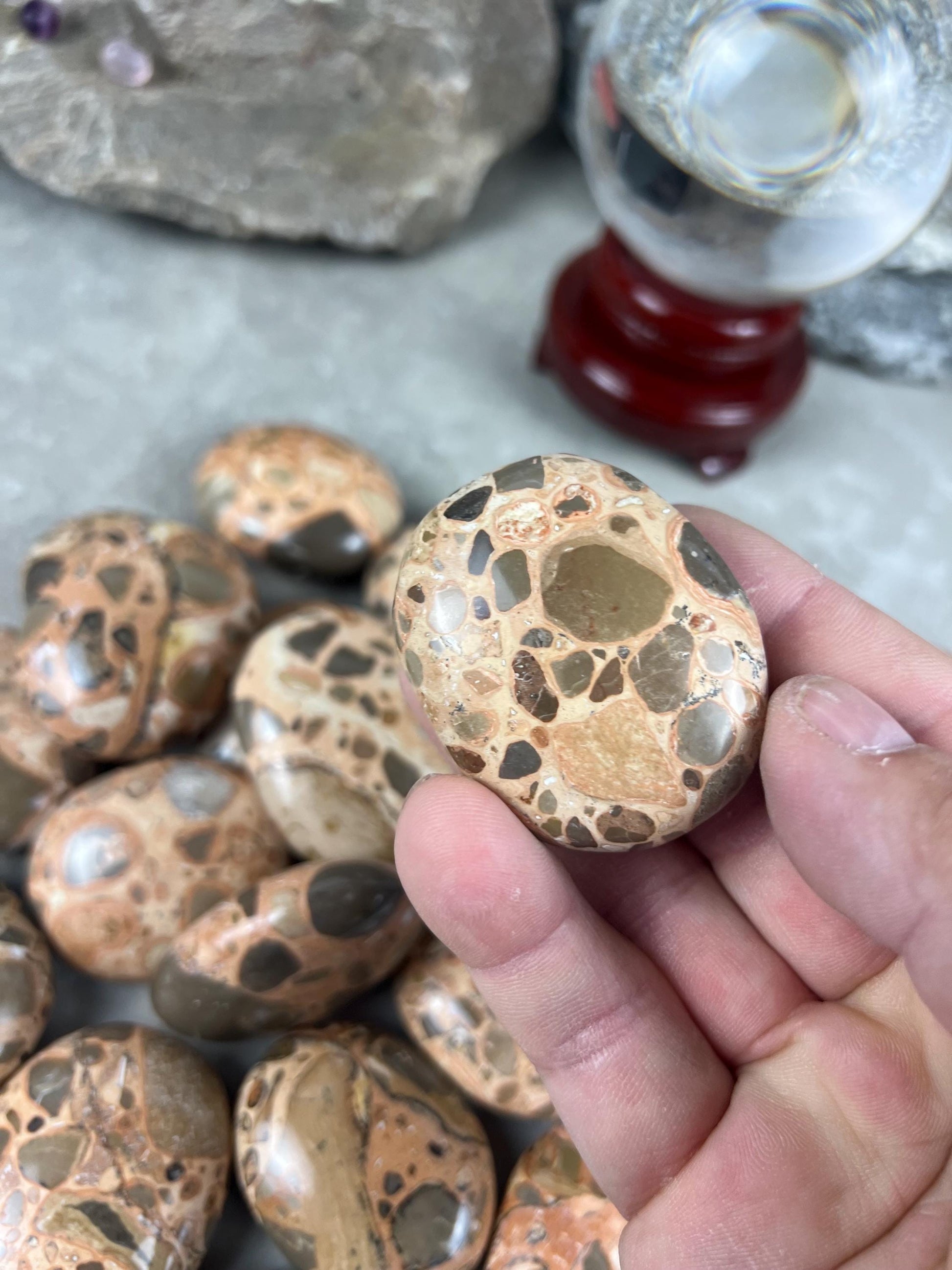 Polished Leopard Jasperite Palm Stone Healing Anxiety Worry Meditation Decor