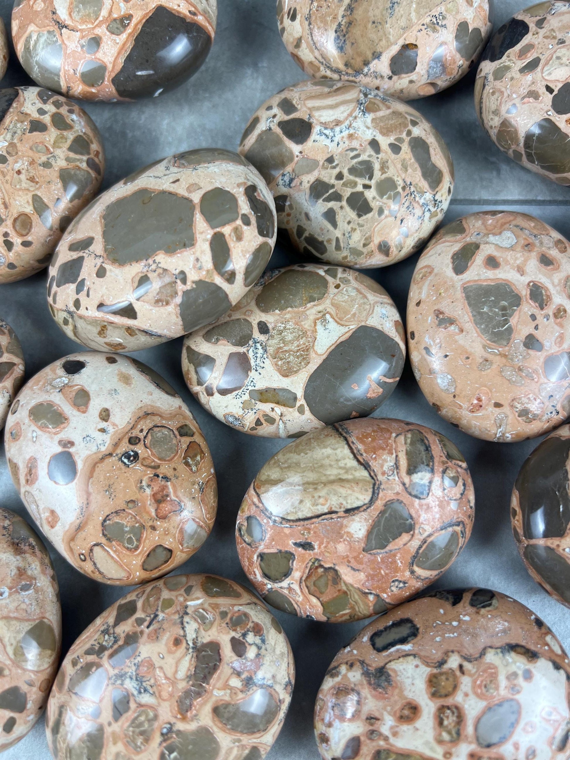 Polished Leopard Jasperite Palm Stone Healing Anxiety Worry Meditation Decor
