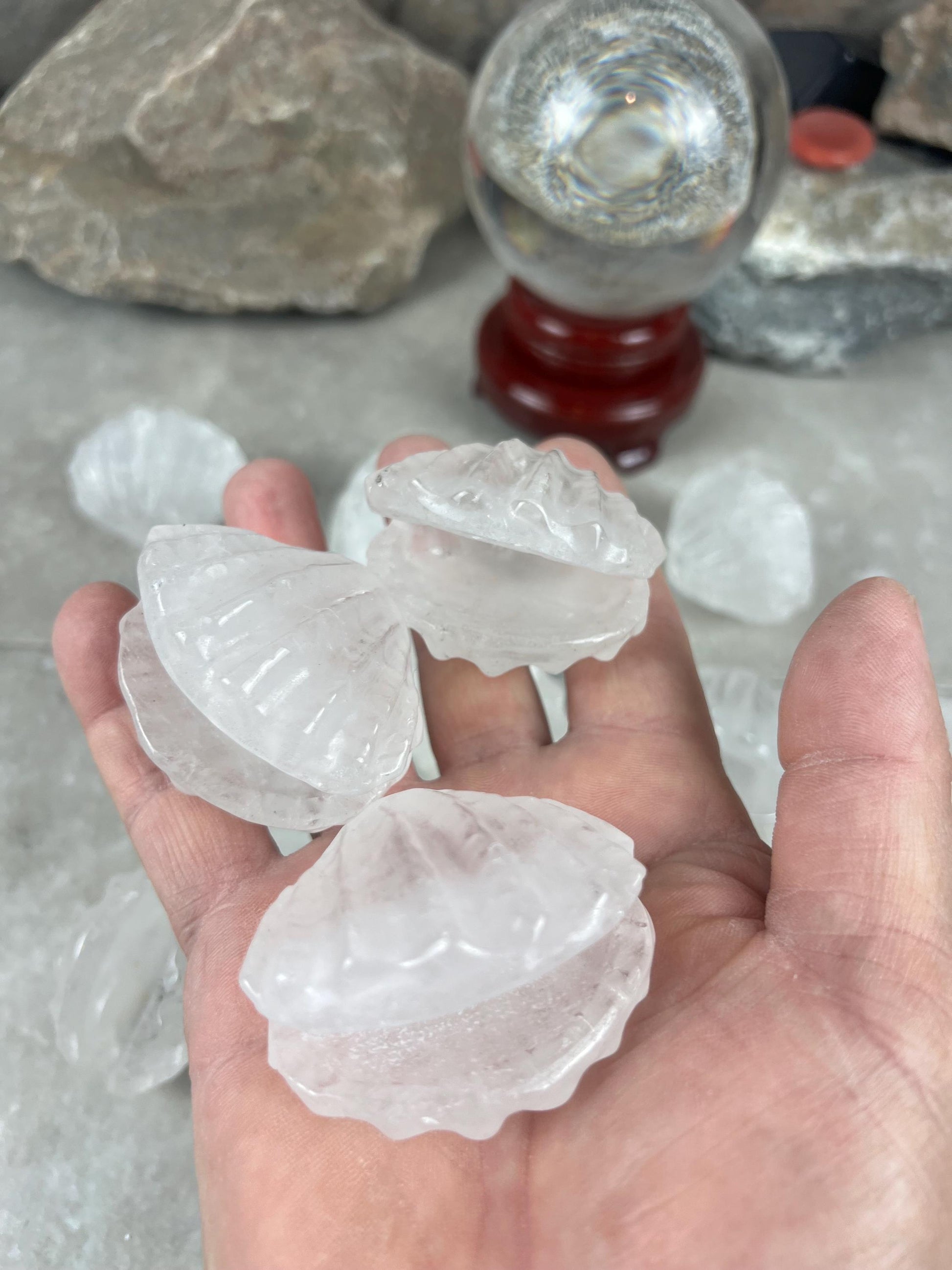 Queensland Australian Clear Quartz Scallop Carved Shell Stone: Polished Crystal Decor
