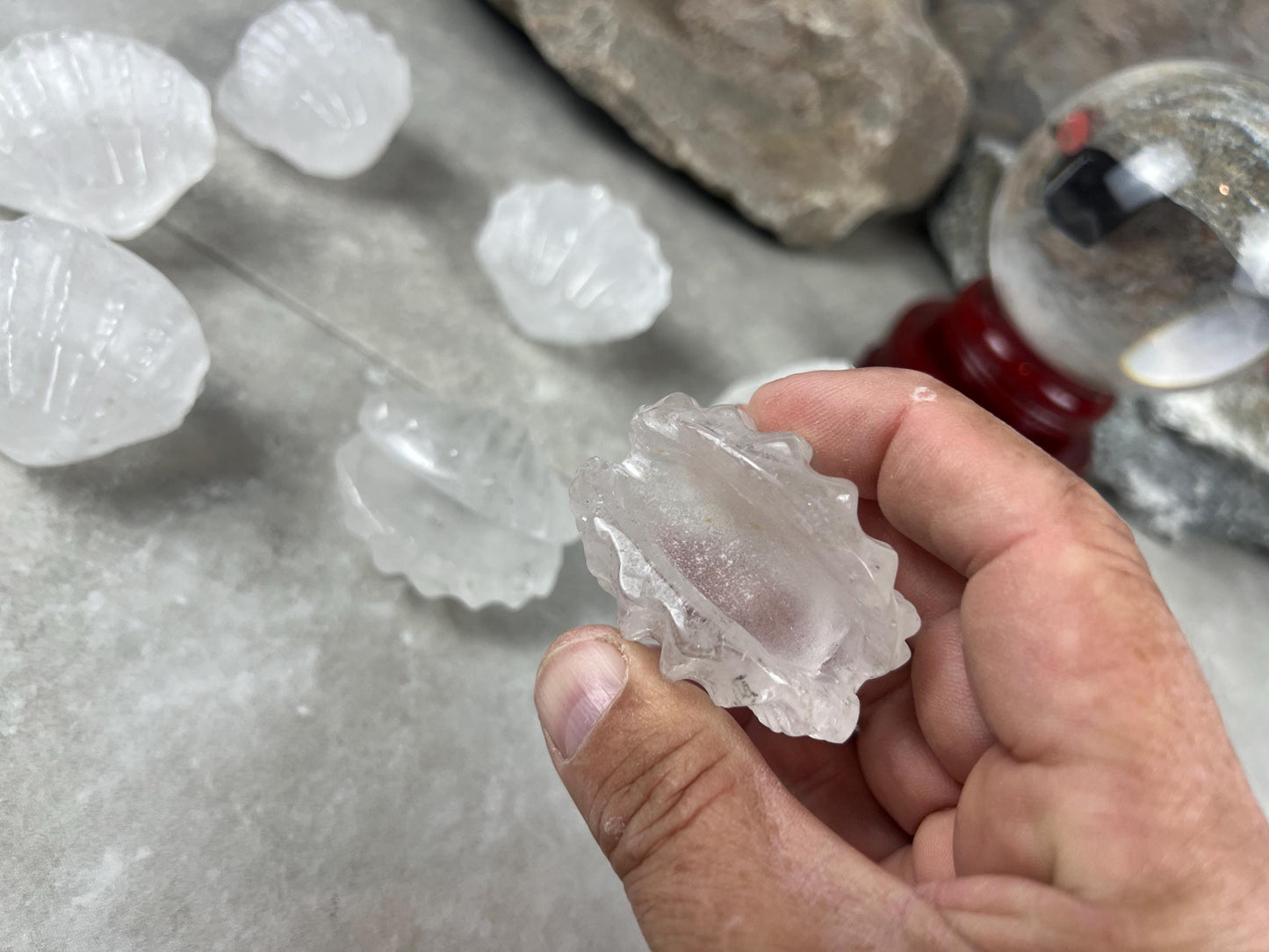 Queensland Australian Clear Quartz Scallop Carved Shell Stone: Polished Crystal Decor