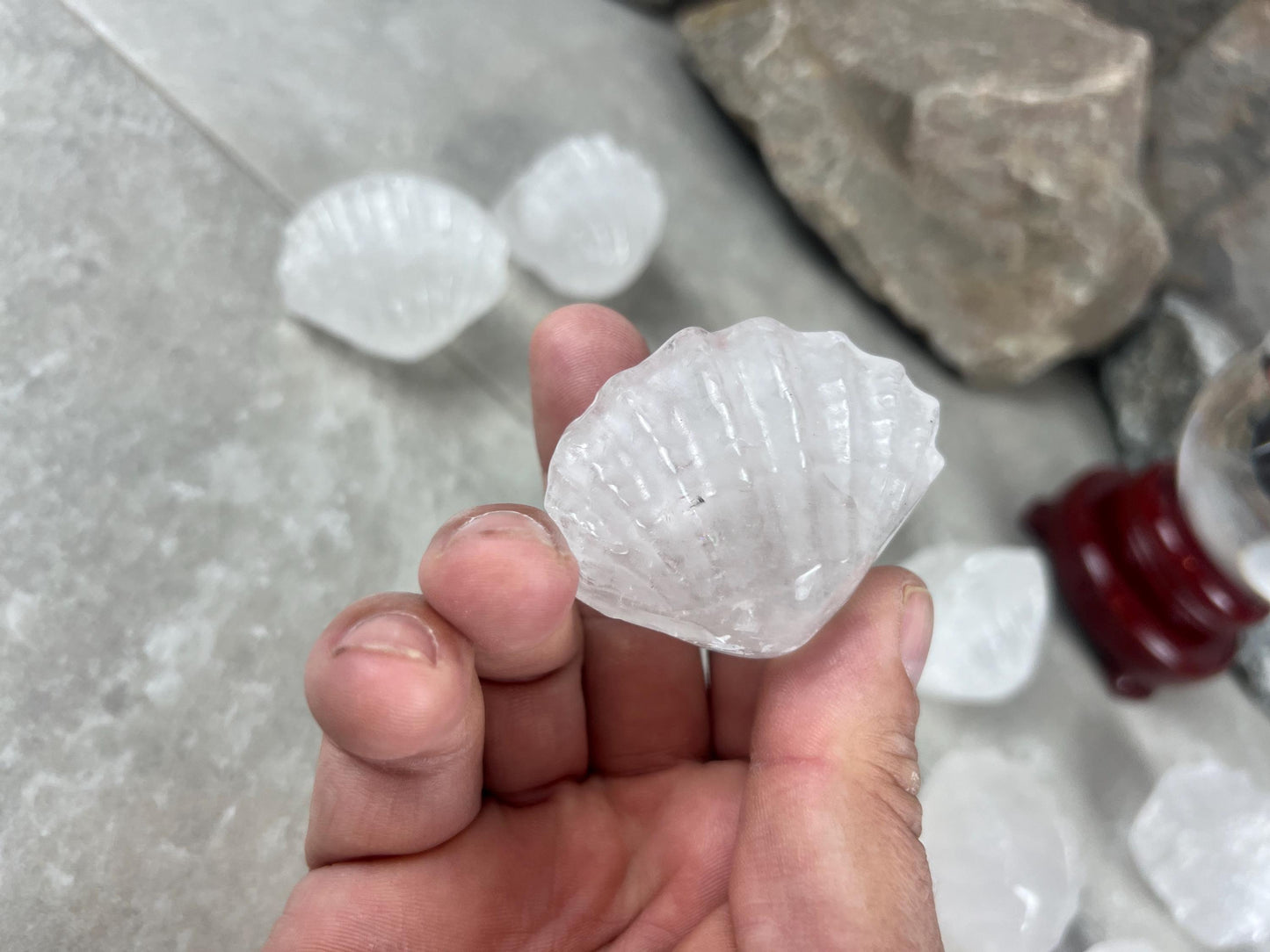 Queensland Australian Clear Quartz Scallop Carved Shell Stone: Polished Crystal Decor