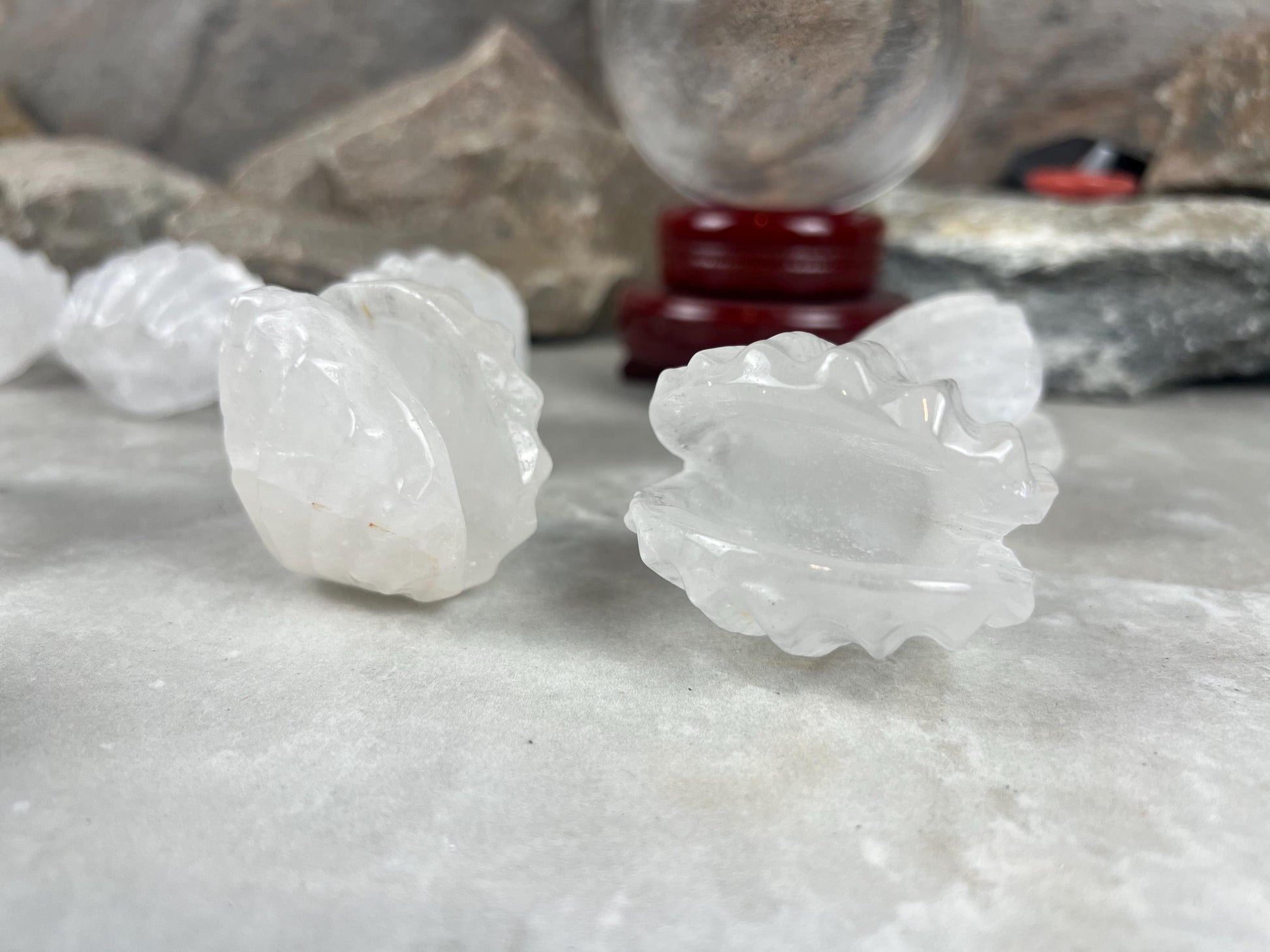 Queensland Australian Clear Quartz Scallop Carved Shell Stone: Polished Crystal Decor