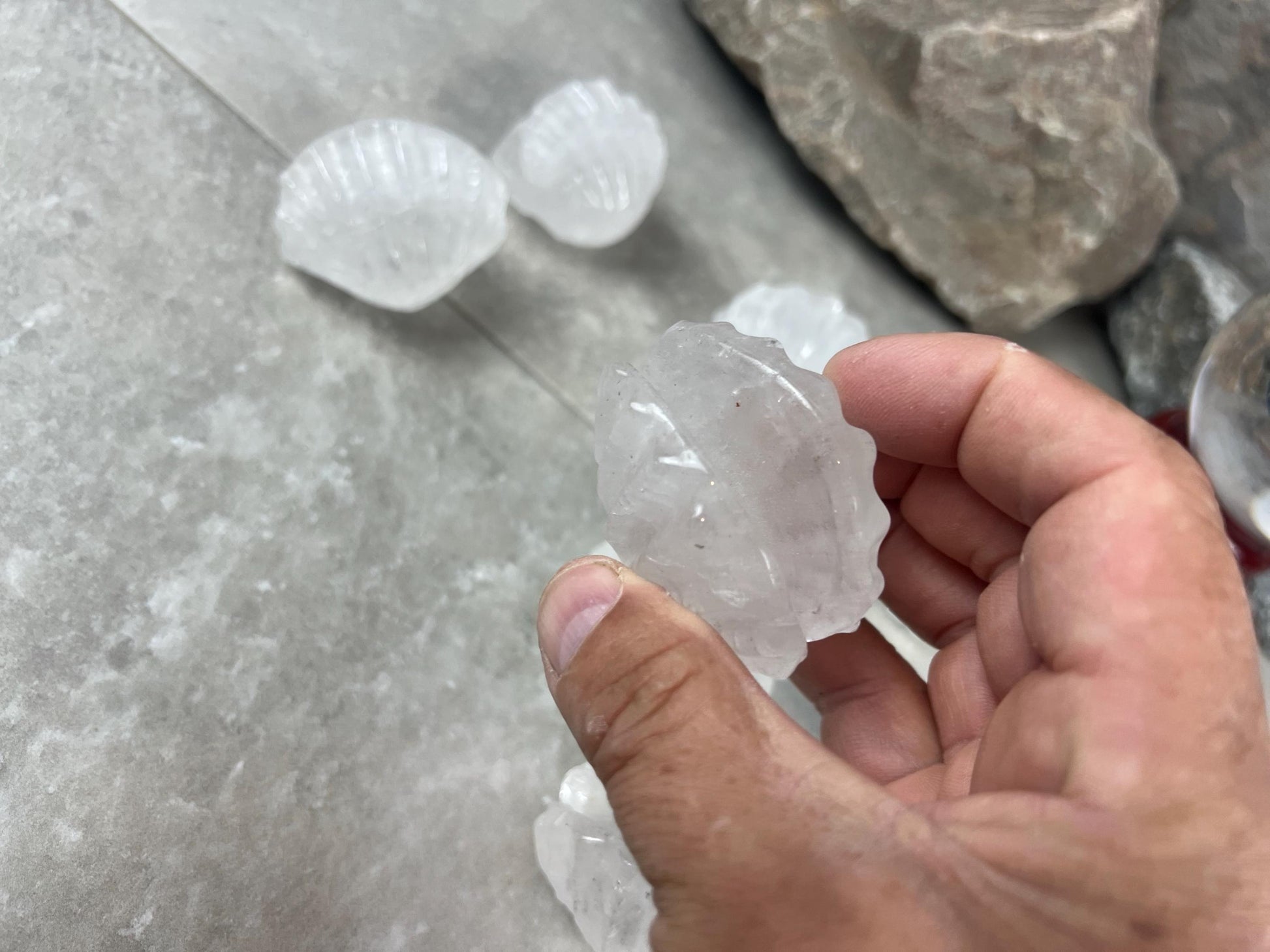 Queensland Australian Clear Quartz Scallop Carved Shell Stone: Polished Crystal Decor