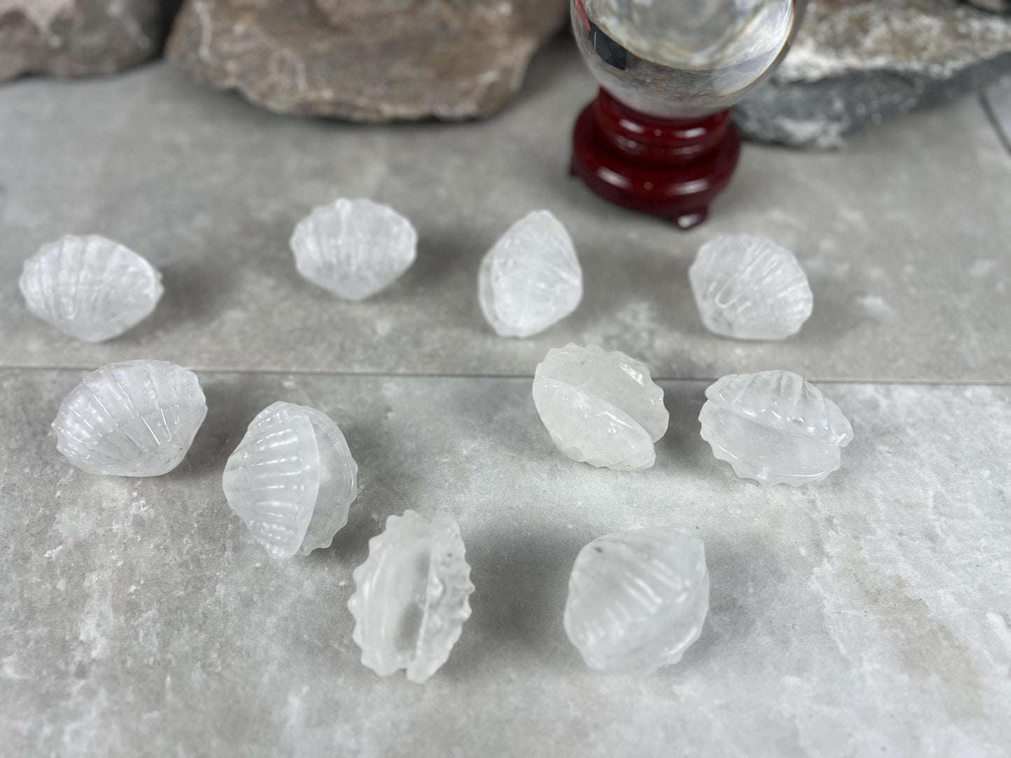 Queensland Australian Clear Quartz Scallop Carved Shell Stone: Polished Crystal Decor