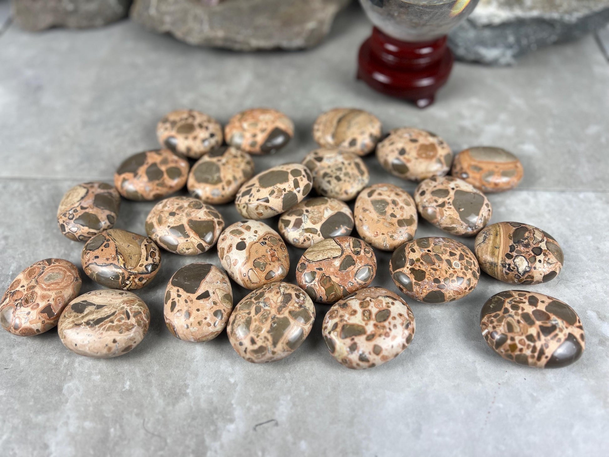 Polished Leopard Jasperite Palm Stone Healing Anxiety Worry Meditation Decor