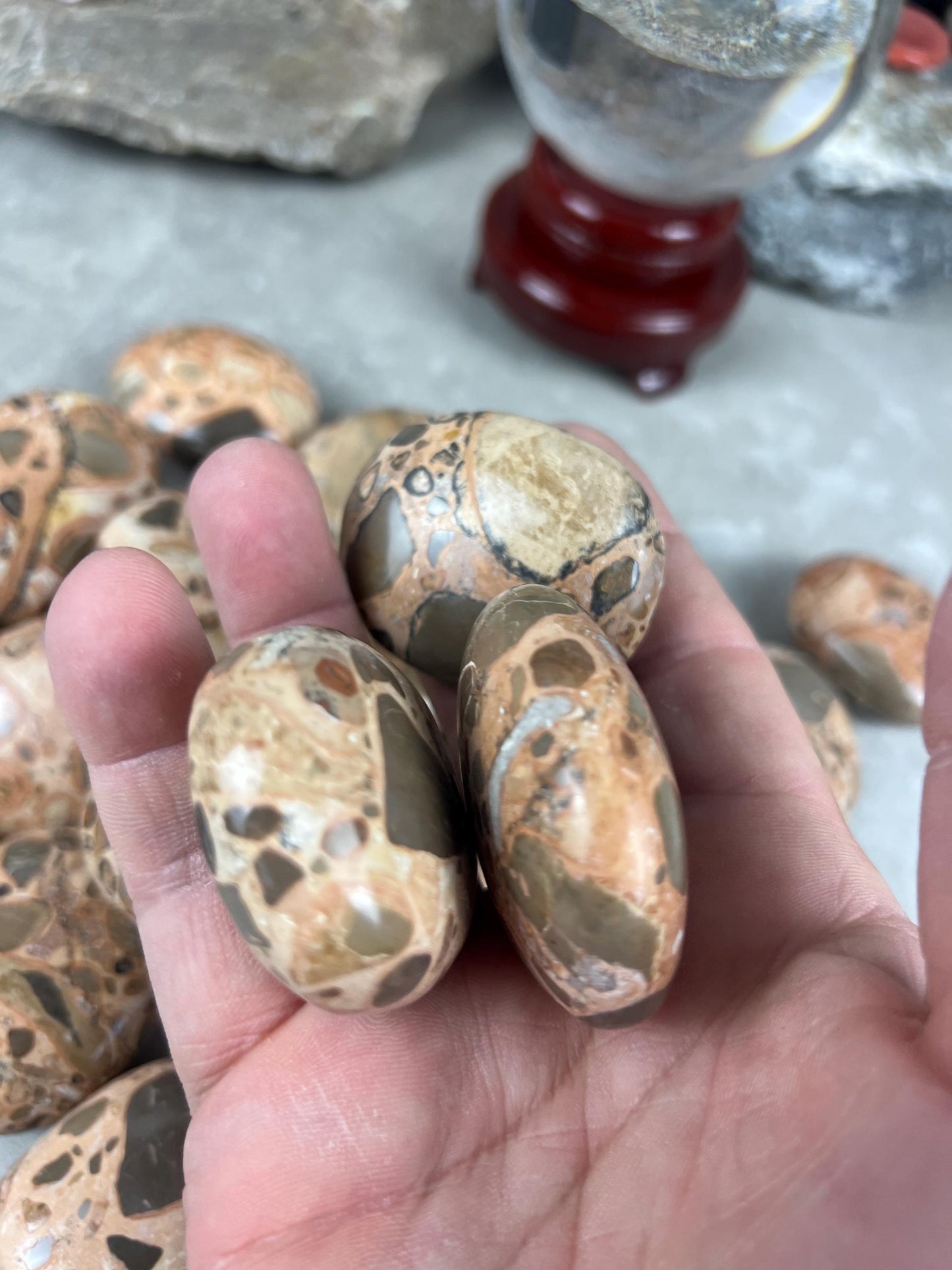 Polished Leopard Jasperite Palm Stone Healing Anxiety Worry Meditation Decor
