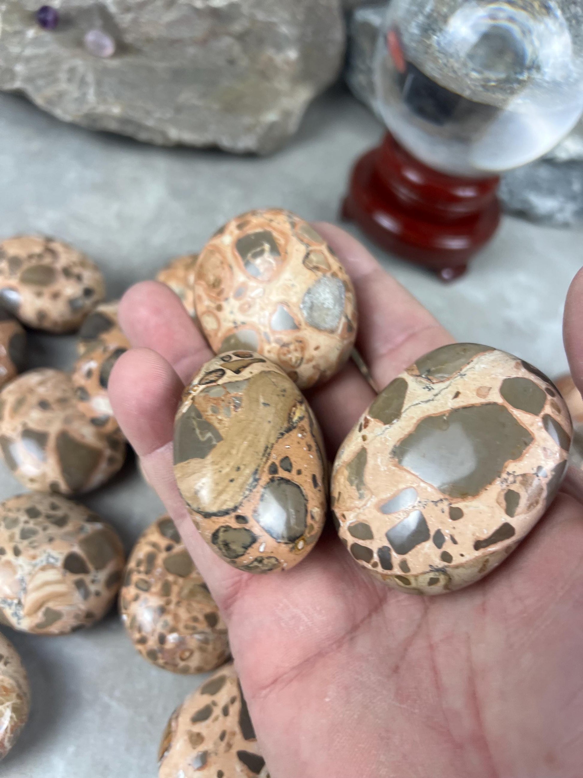 Polished Leopard Jasperite Palm Stone Healing Anxiety Worry Meditation Decor