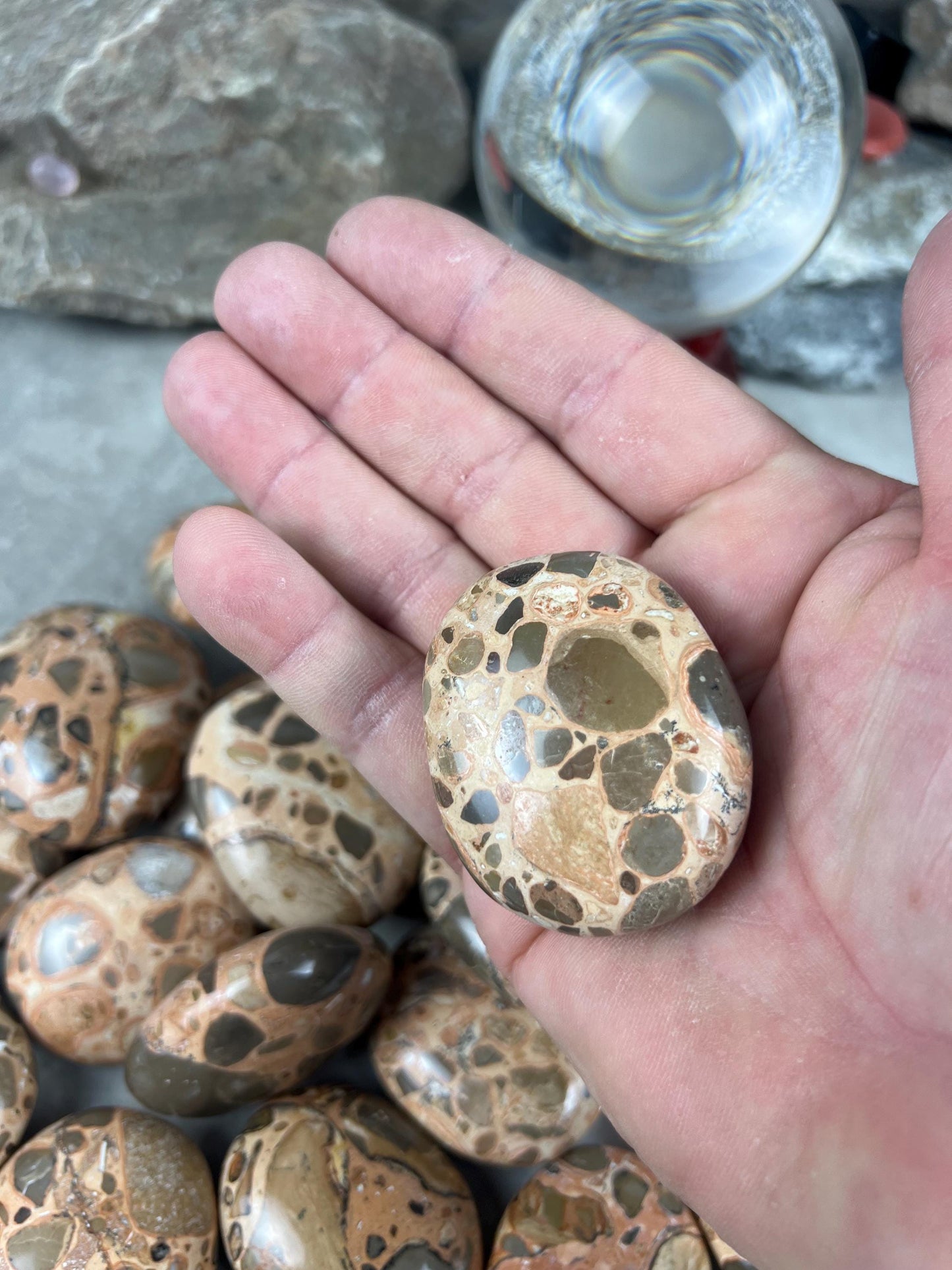 Polished Leopard Jasperite Palm Stone Healing Anxiety Worry Meditation Decor