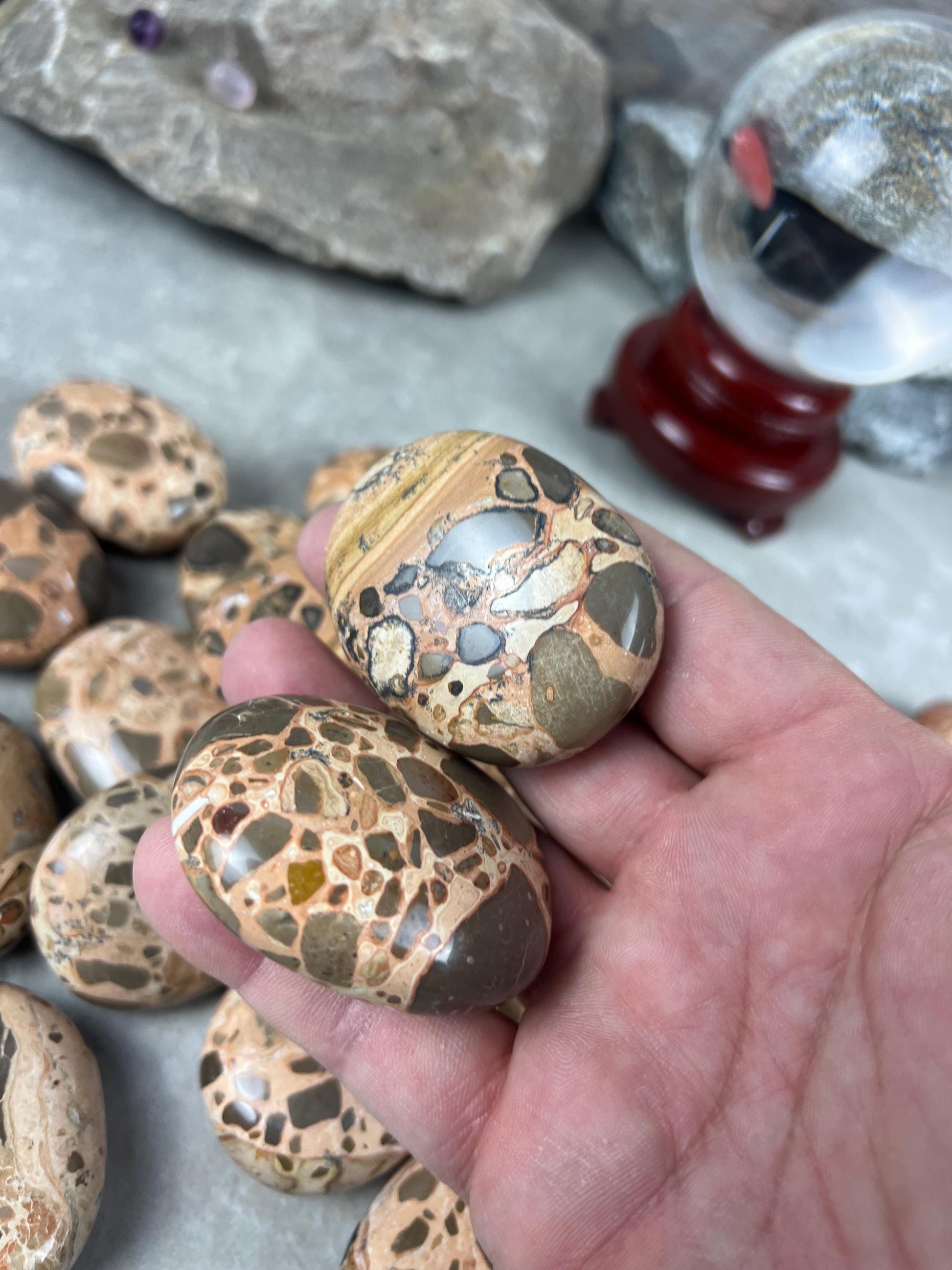 Polished Leopard Jasperite Palm Stone Healing Anxiety Worry Meditation Decor