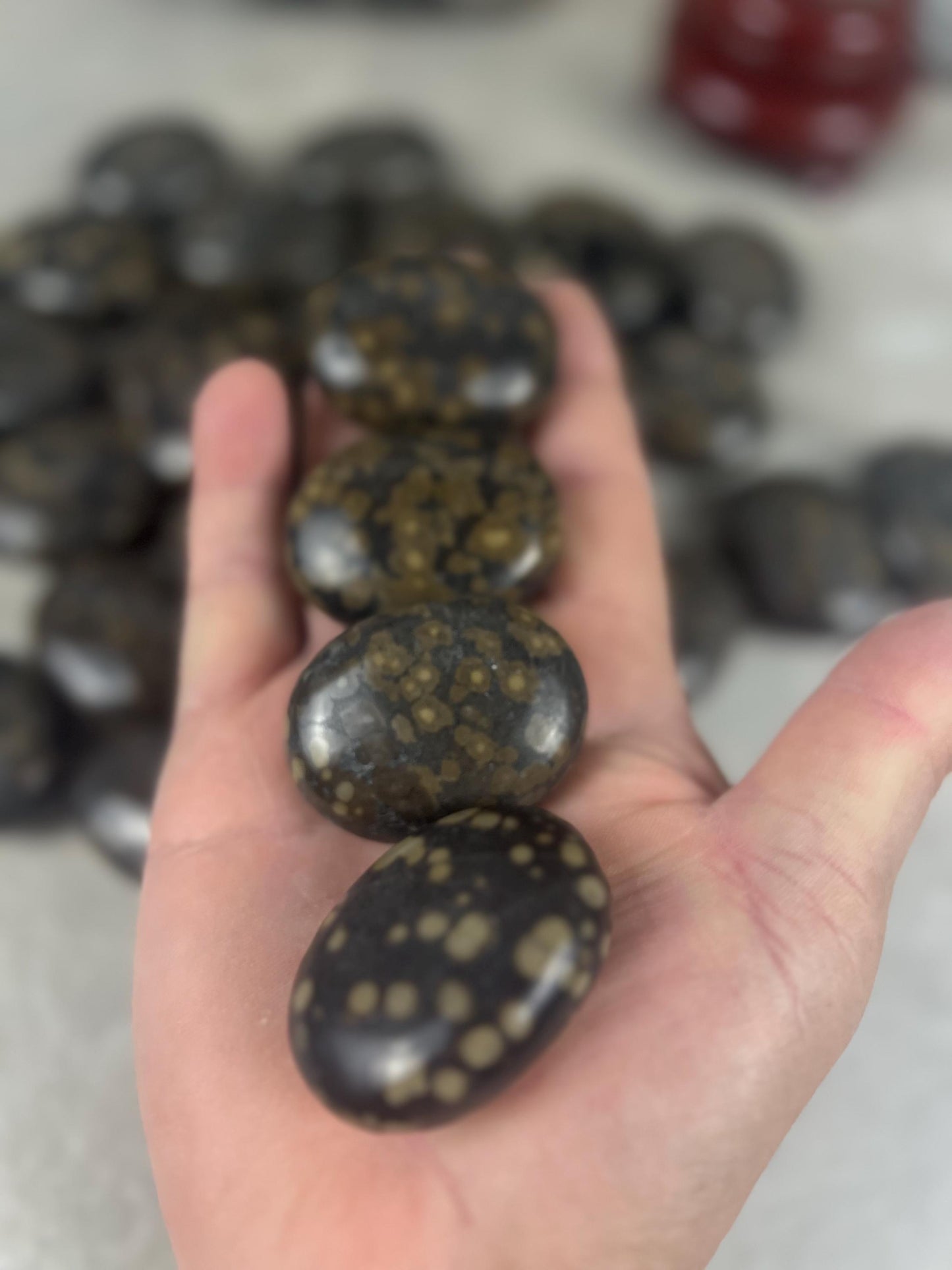 Californian Orbicular Jasper Palm Stone Polished Crystal Worry Stone Home Decor Worry Pocket Stress Anxiety Palm Stone