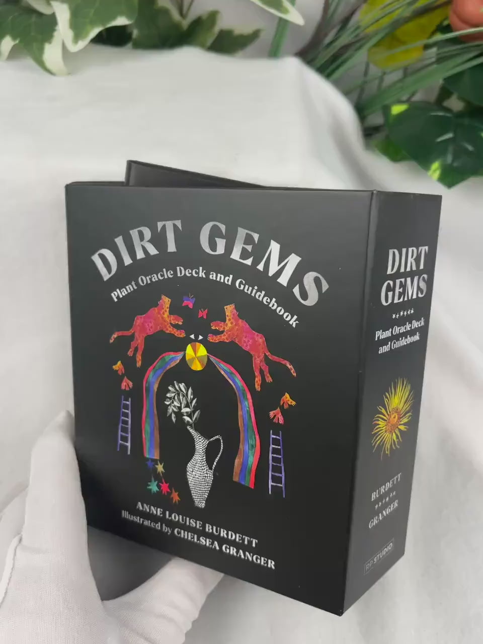 Dirt Gems Plant Oracle Deck: Illustrated Guidebook & Cards