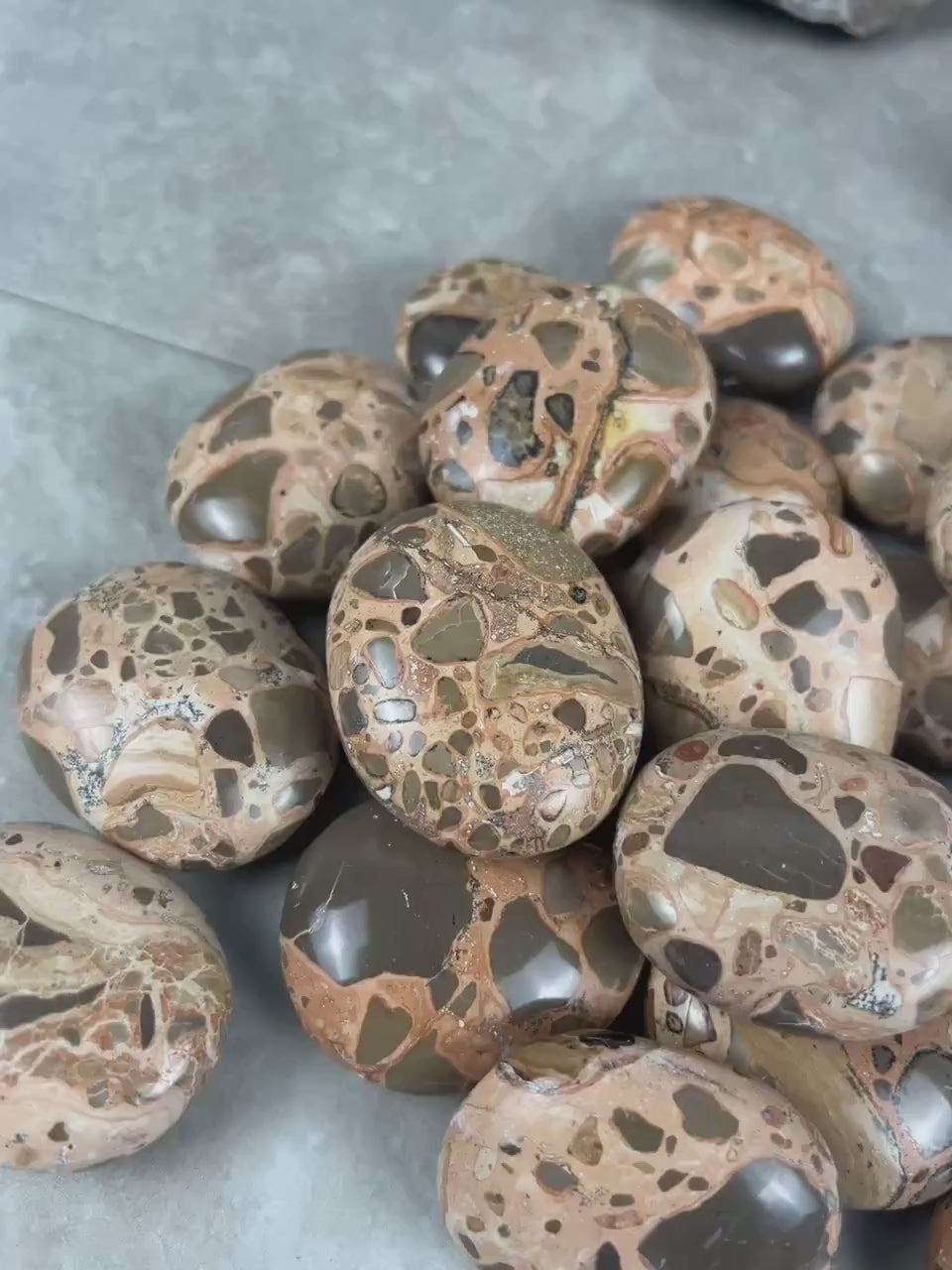 Polished Leopard Jasperite  Palm Stone Healing Anxiety Worry Meditation Decor