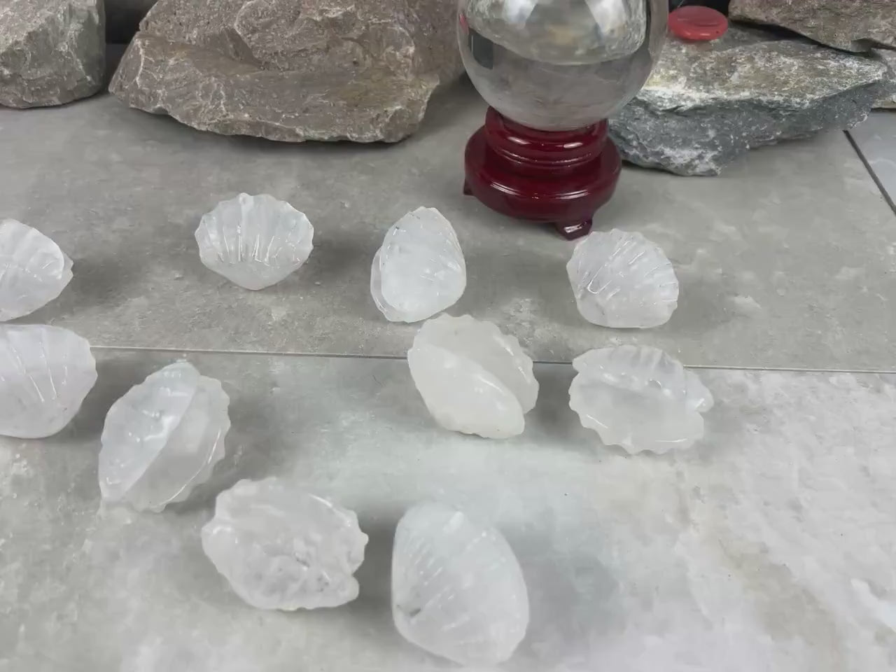 Queensland Australian Clear Quartz Scallop Carved Shell Stone: Polished Crystal Decor