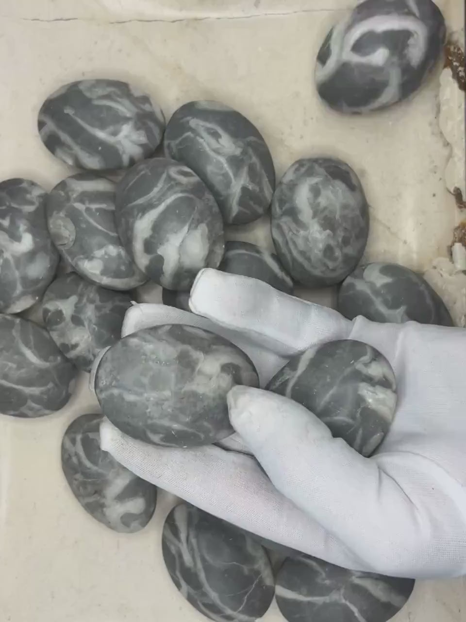 Texas Shell Stone Fossil Natural Palm Stone Smooth Polished Carved Crystal Distraction Home Decor Worry Stress Relief Anxiety Christmas Xmas