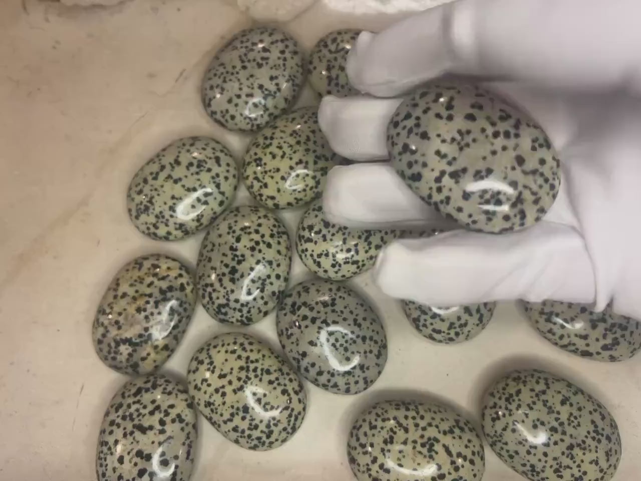 Indian Dalmation Jasper Palm Stone: Smooth Crystal Thumb Stone
