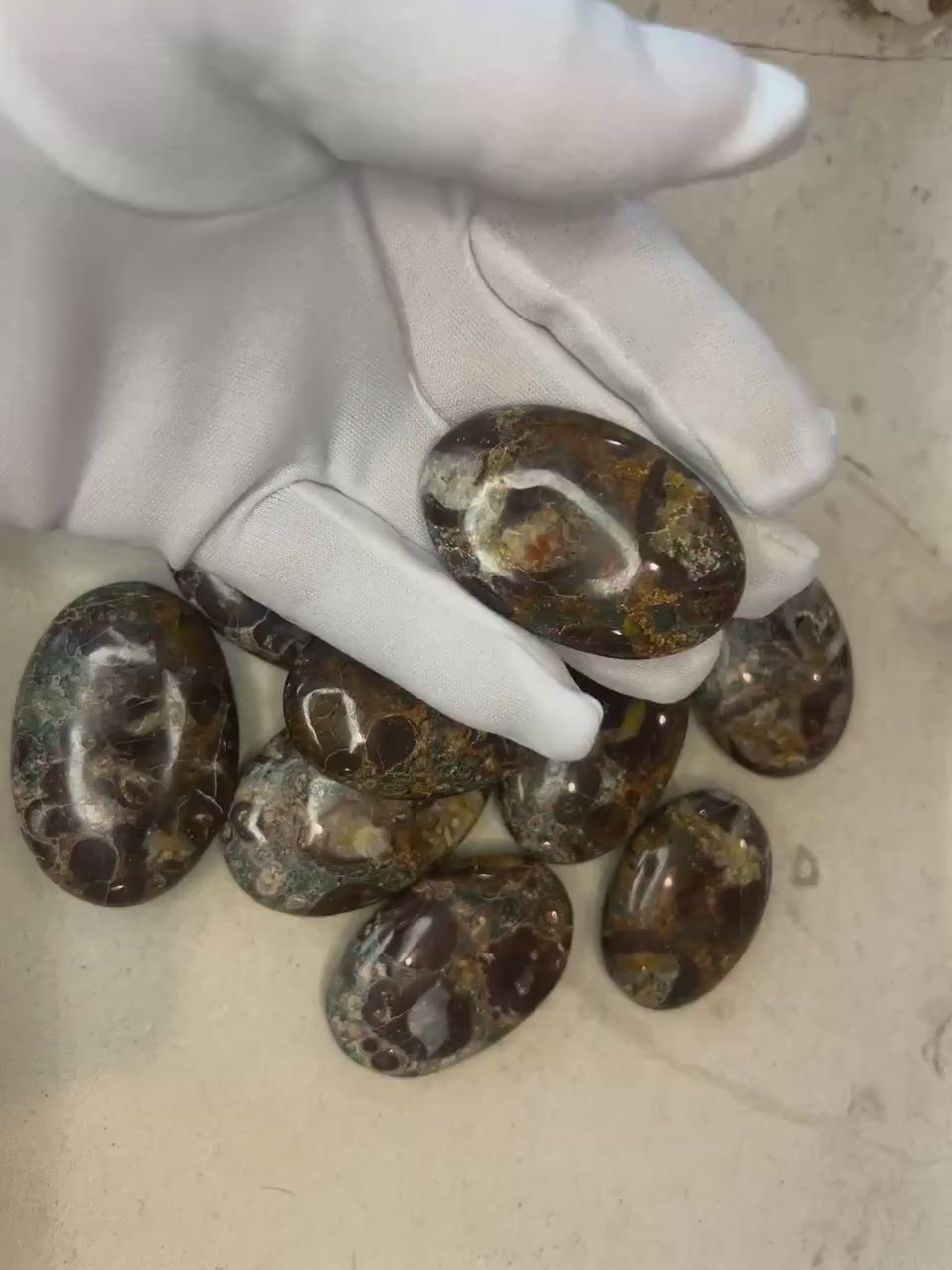 Wisconsin Turritella Fossil Palm Stone: Polished Worry Stone, Home Decor