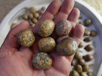 Leopard Jasper Tumble Stone: Polished Anxiety Relief Pocket Crystal