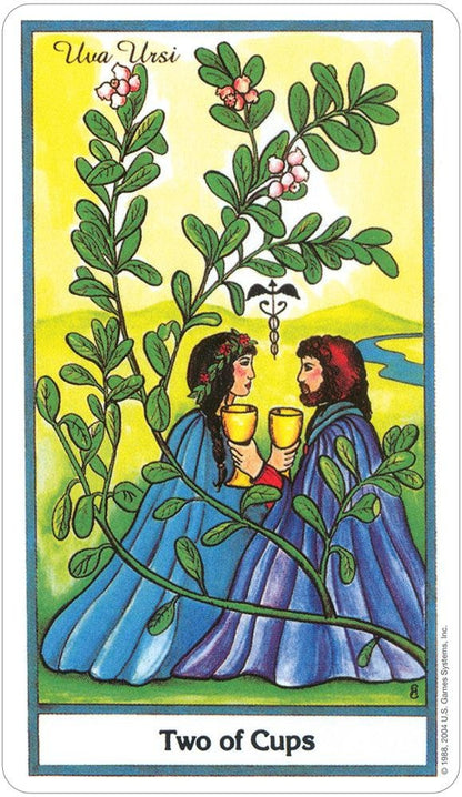 The Herbal Tarot Deck and Book Kit 78 Card Fully Licensed and Original Inclusive Tarot Deck Guidebook Home Decor Gift