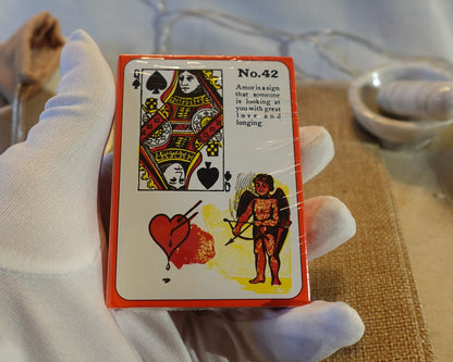 Gypsy Witch Fortune Telling Playing Cards Fully Licensed and Original Inclusive Tarot Deck Guidebook Home Decor Gift