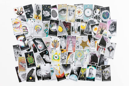 Pocket Animal Tarot Card Spirit Deck Wild Unknown Authentic Tarot Tin Box High