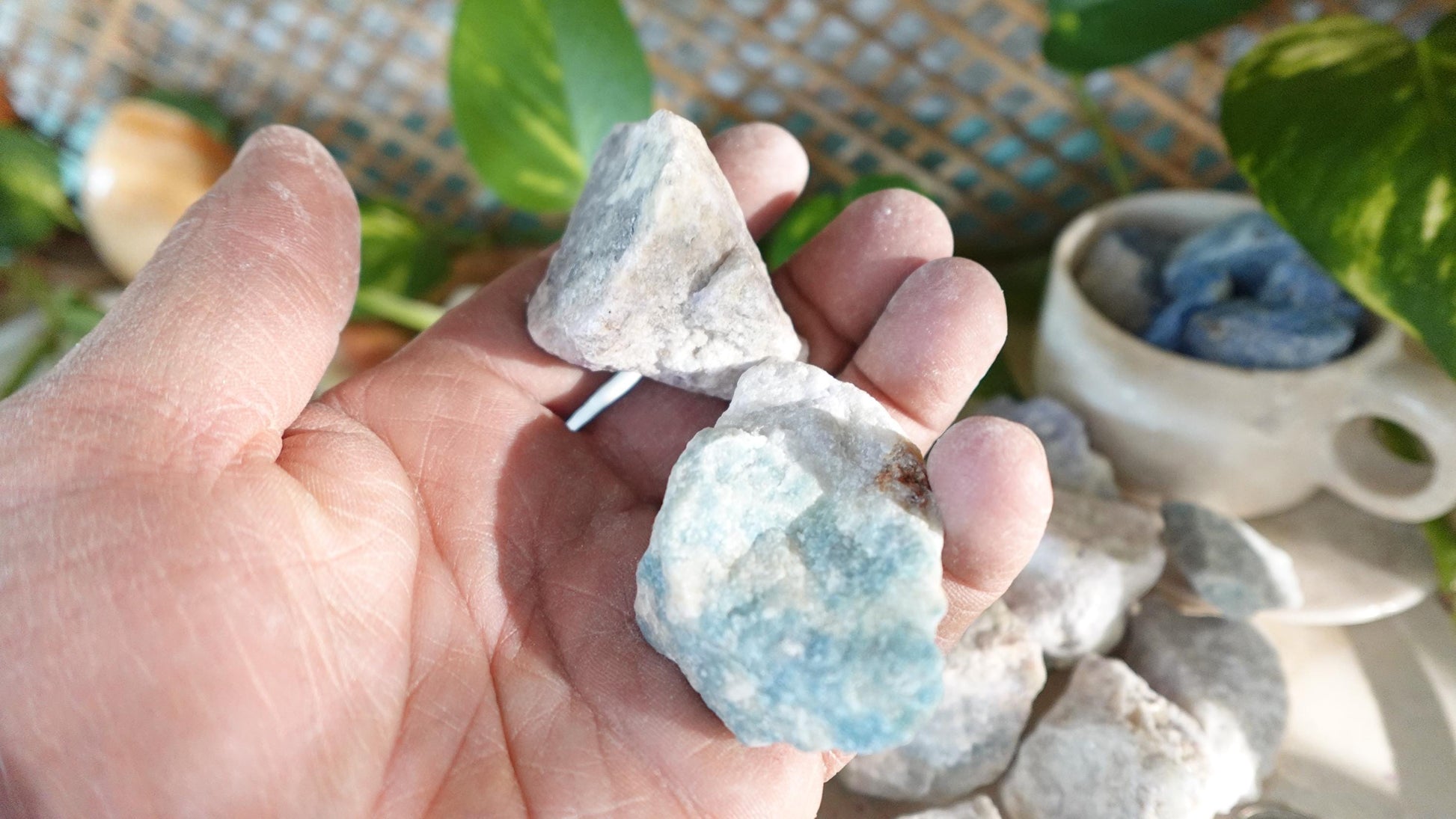 Natural Colorful Hackmanite Untreated Stones Arts Home Decor Wholesale minerals School Project Christmas Xmas Home Decor Gift Craft Garden