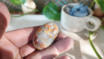 Polished Crazy Agate Palm Natural Crystal Polished Worry Stone Home Decor Anxiety Pocket Distraction Meditation Gift Birthday Christmas