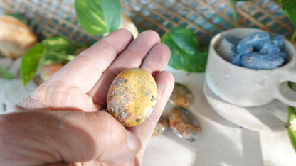 Polished Crazy Agate Palm Natural Crystal Polished Worry Stone Home Decor Anxiety Pocket Distraction Meditation Gift Birthday Christmas